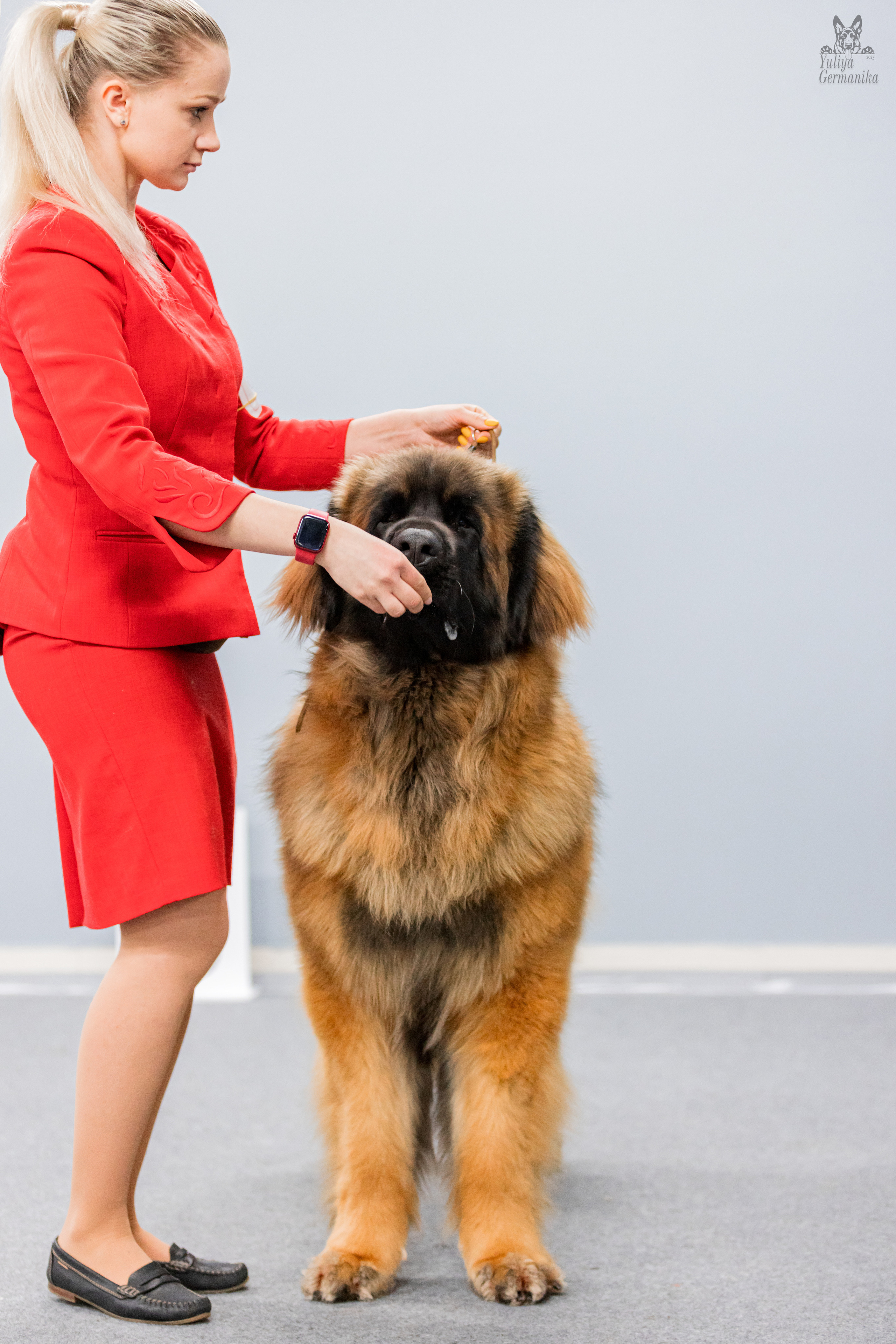 Сфера 5.03.2023. Фотограф-анималист Юлия Германика