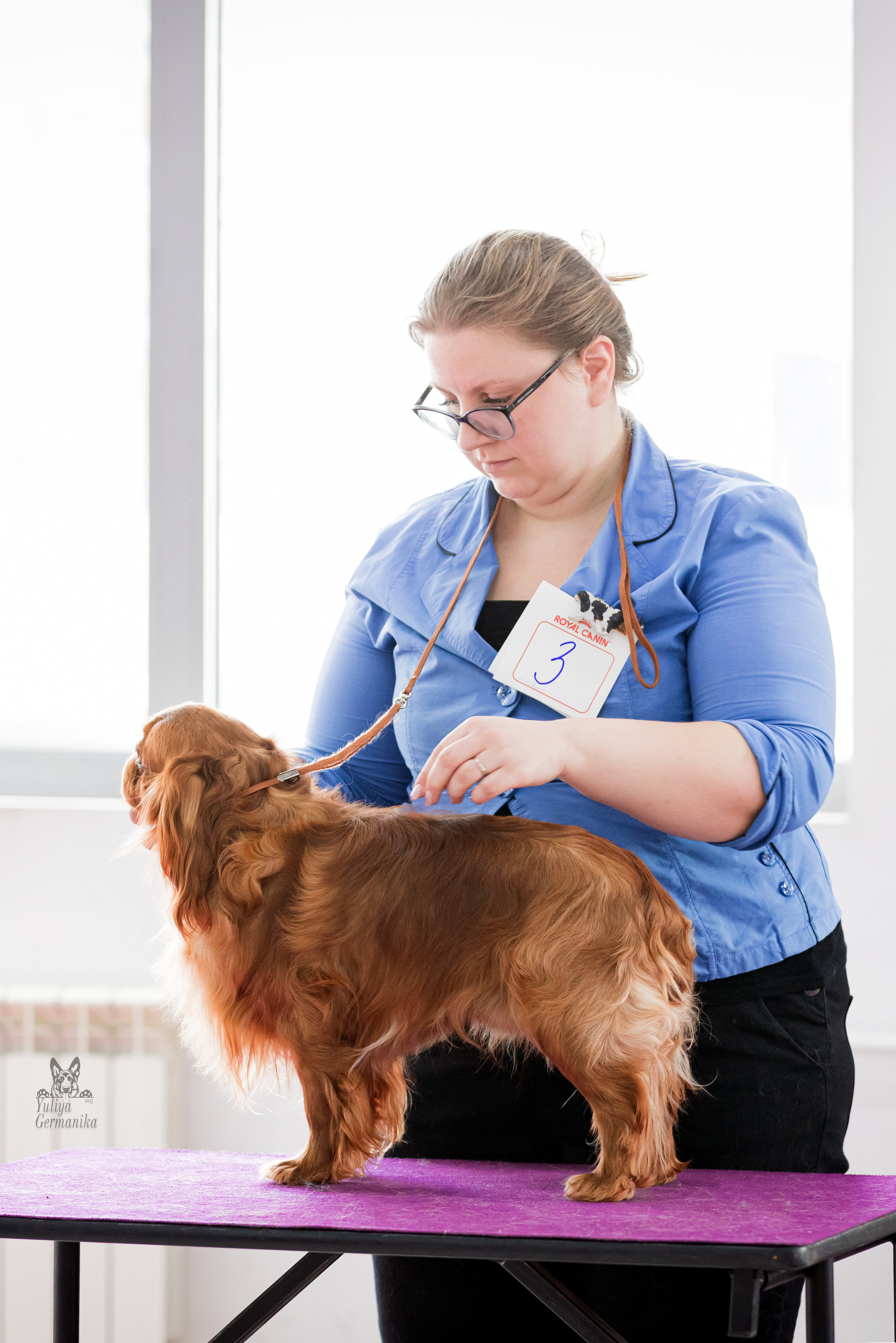 Можайский двор 11-12.02.2023. Фотограф-анималист Юлия Германика