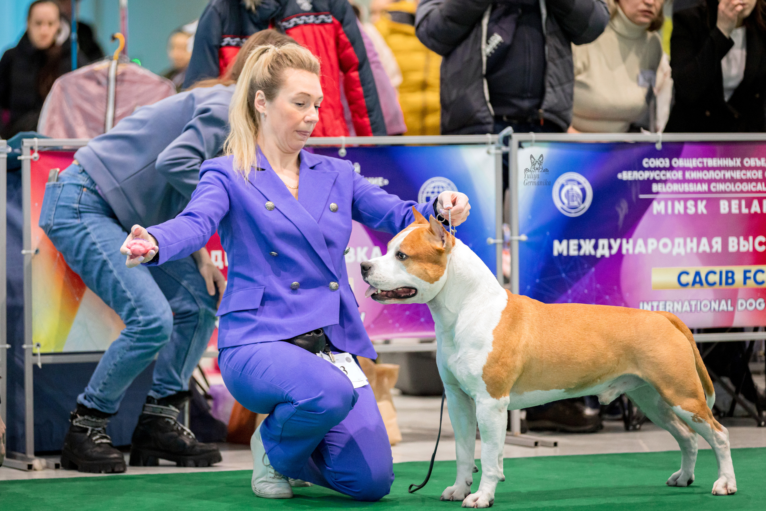 Минск 25-26.02.2023. Фотограф-анималист Юлия Германика