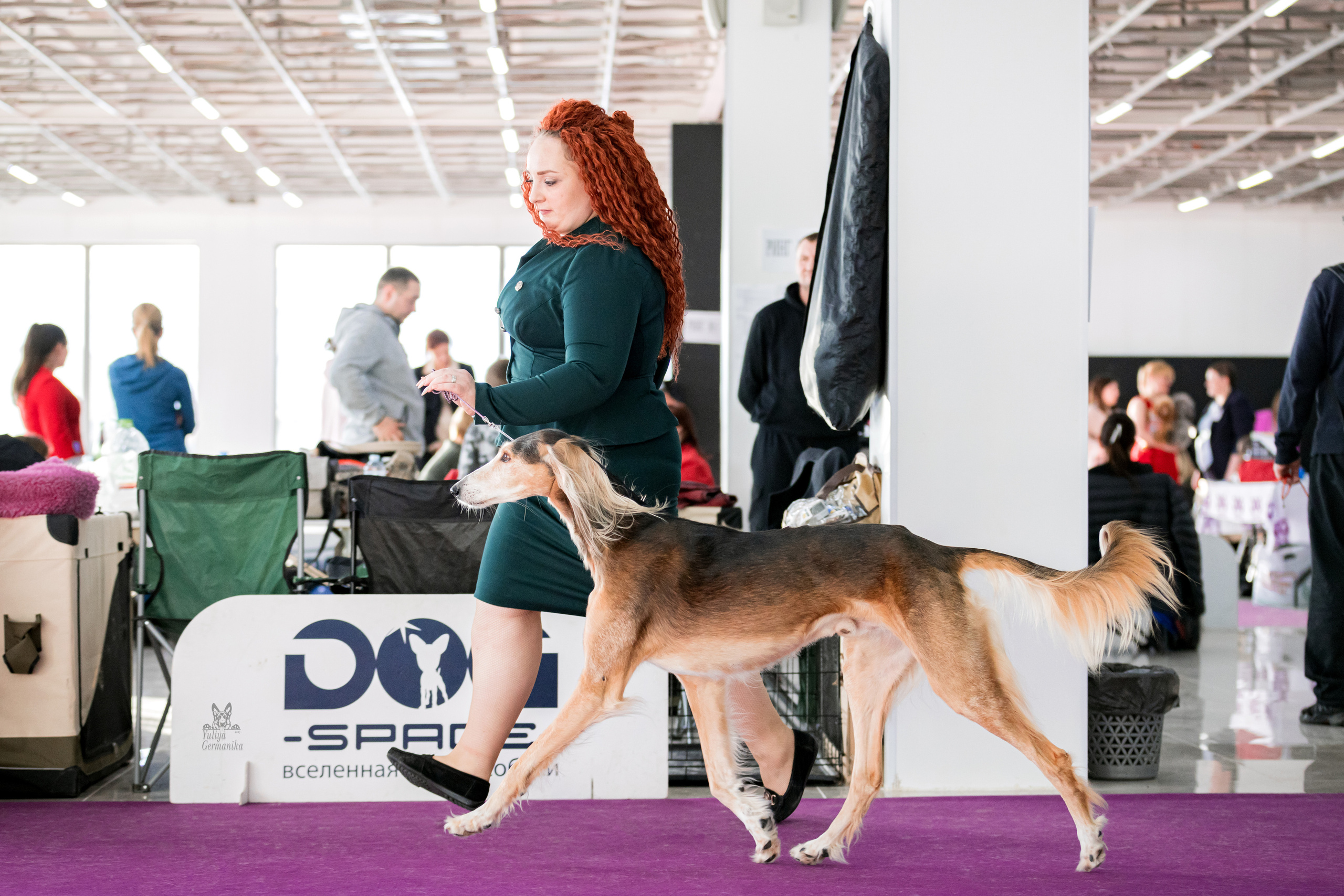 Можайский двор 11-12.02.2023. Фотограф-анималист Юлия Германика