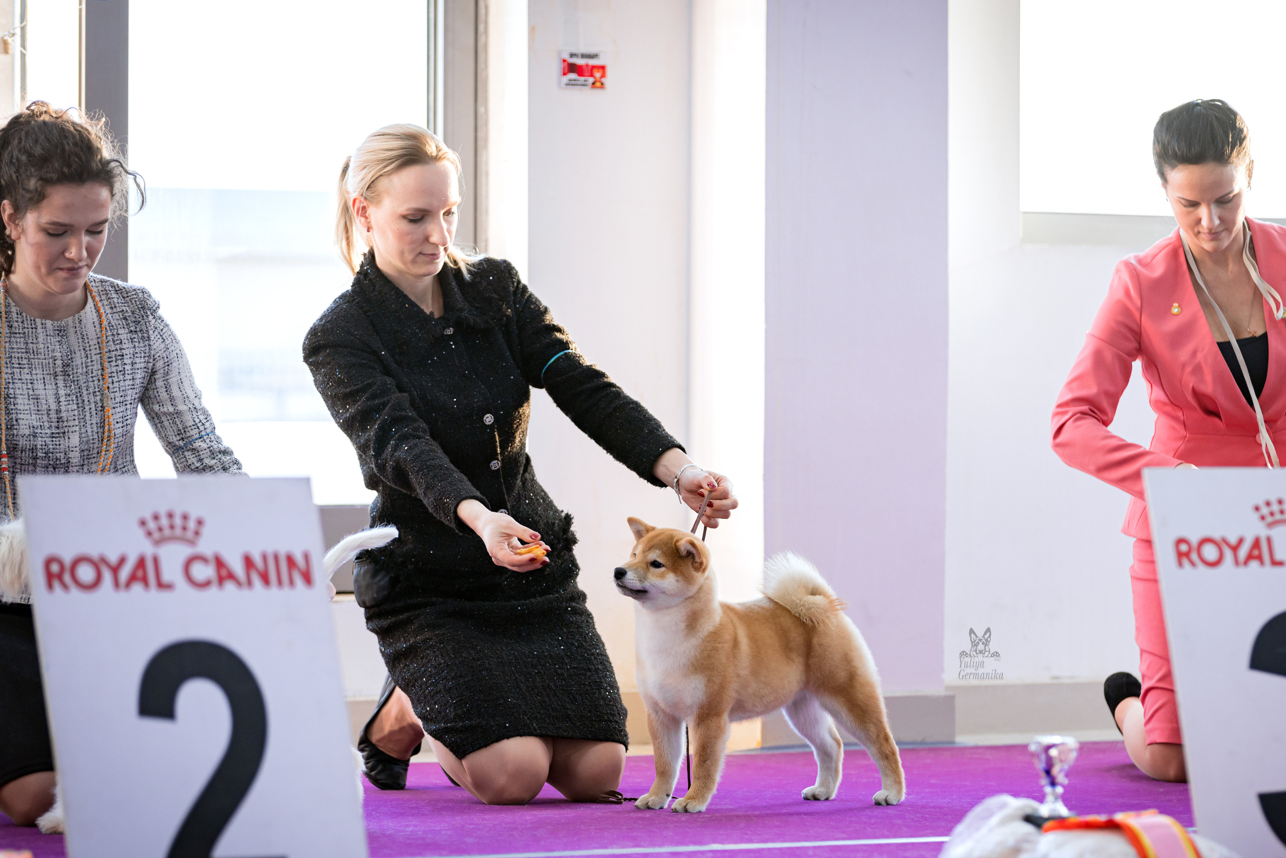 Можайский двор 11-12.02.2023. Фотограф-анималист Юлия Германика