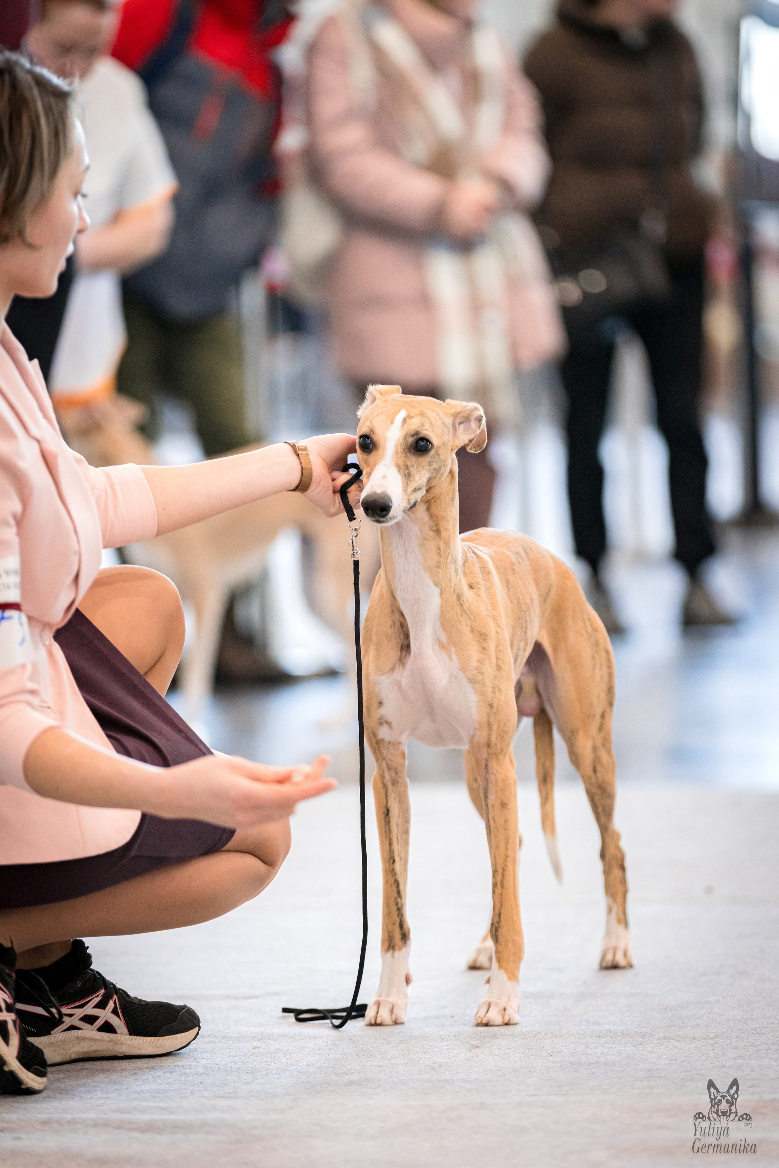 Казань 11.03.2023. Фотограф-анималист Юлия Германика