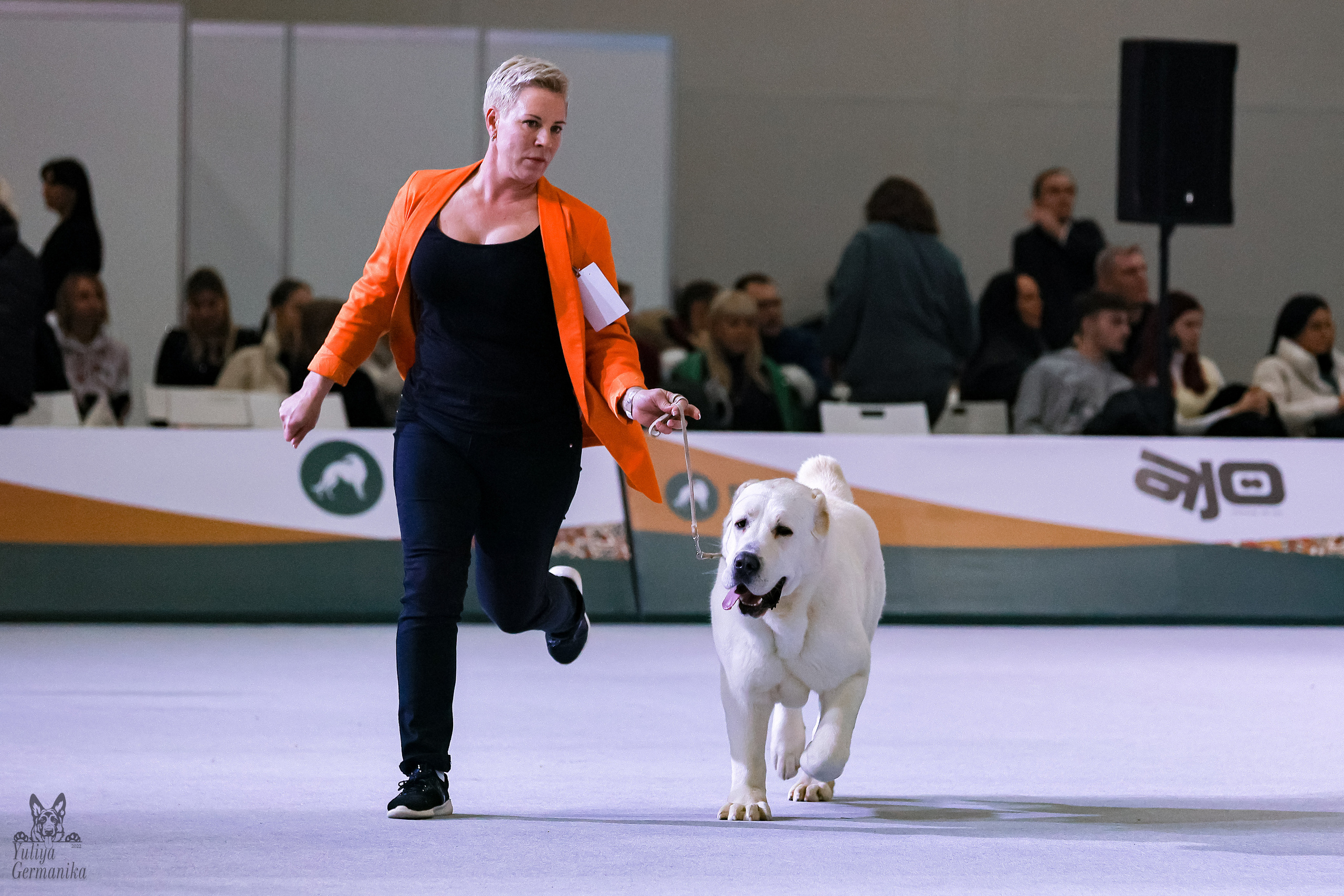 Россия 2020-2022 26-27.11.2022. Фотограф-анималист Юлия Германика