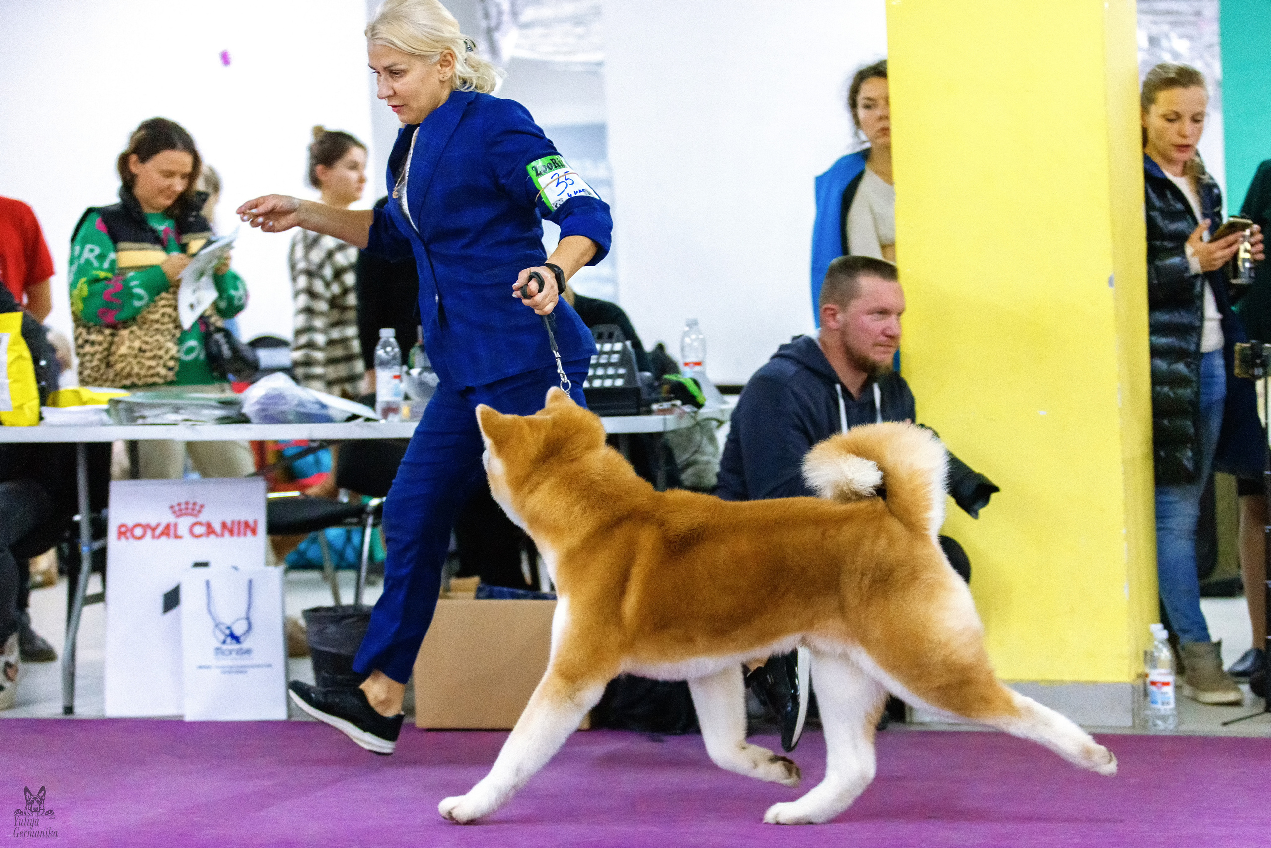 Чайна-Таун 3 и 10.12.2022. Фотограф-анималист Юлия Германика