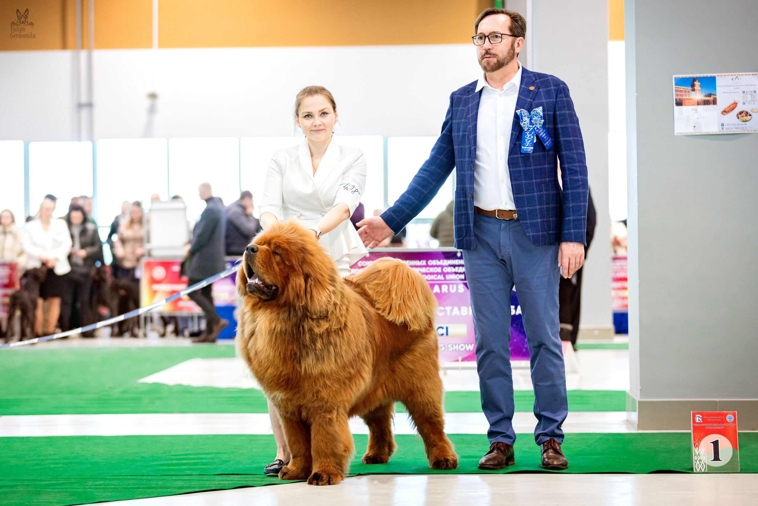 Минск 25-26.02.2023. Фотограф-анималист Юлия Германика
