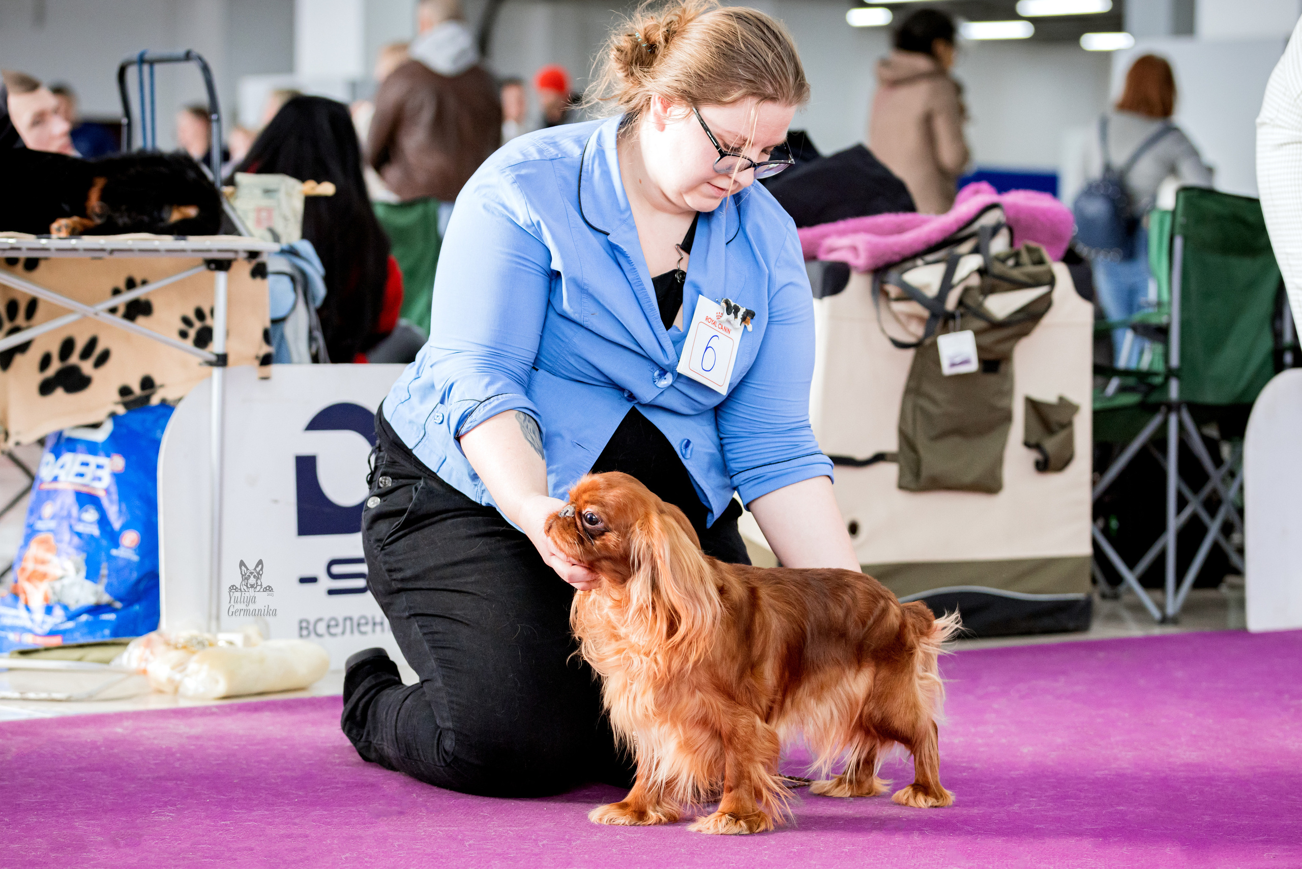 Можайский двор 11-12.02.2023. Фотограф-анималист Юлия Германика