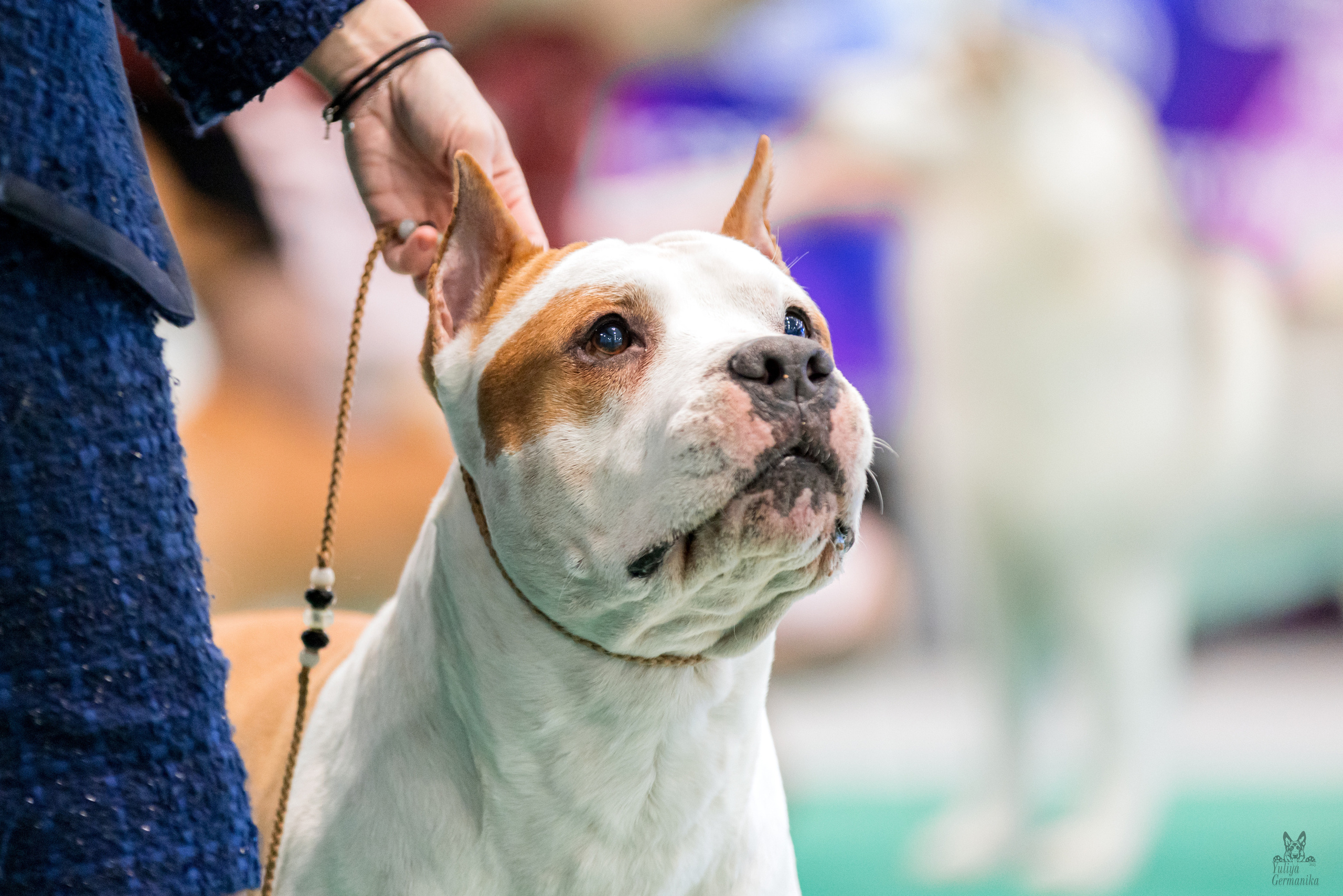 Минск 25-26.02.2023. Фотограф-анималист Юлия Германика