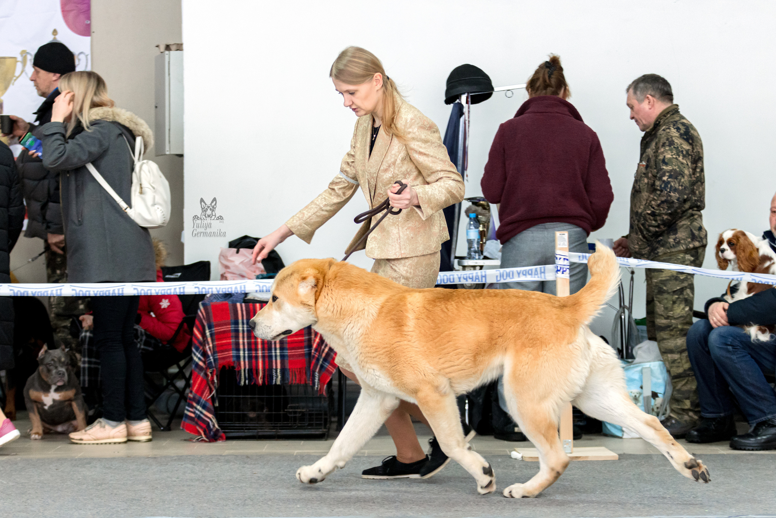 Тверь 19.02.2023. Фотограф-анималист Юлия Германика