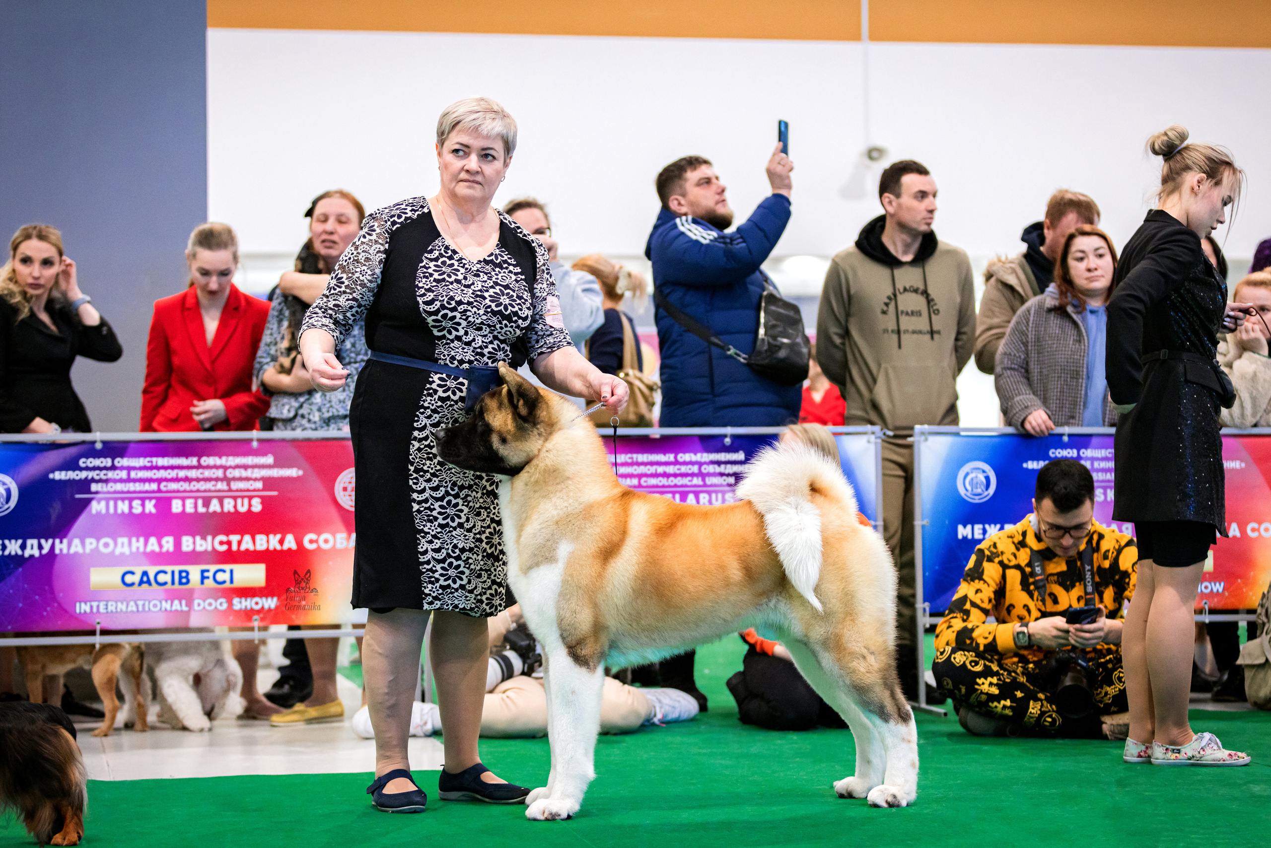 Минск 25-26.02.2023. Фотограф-анималист Юлия Германика