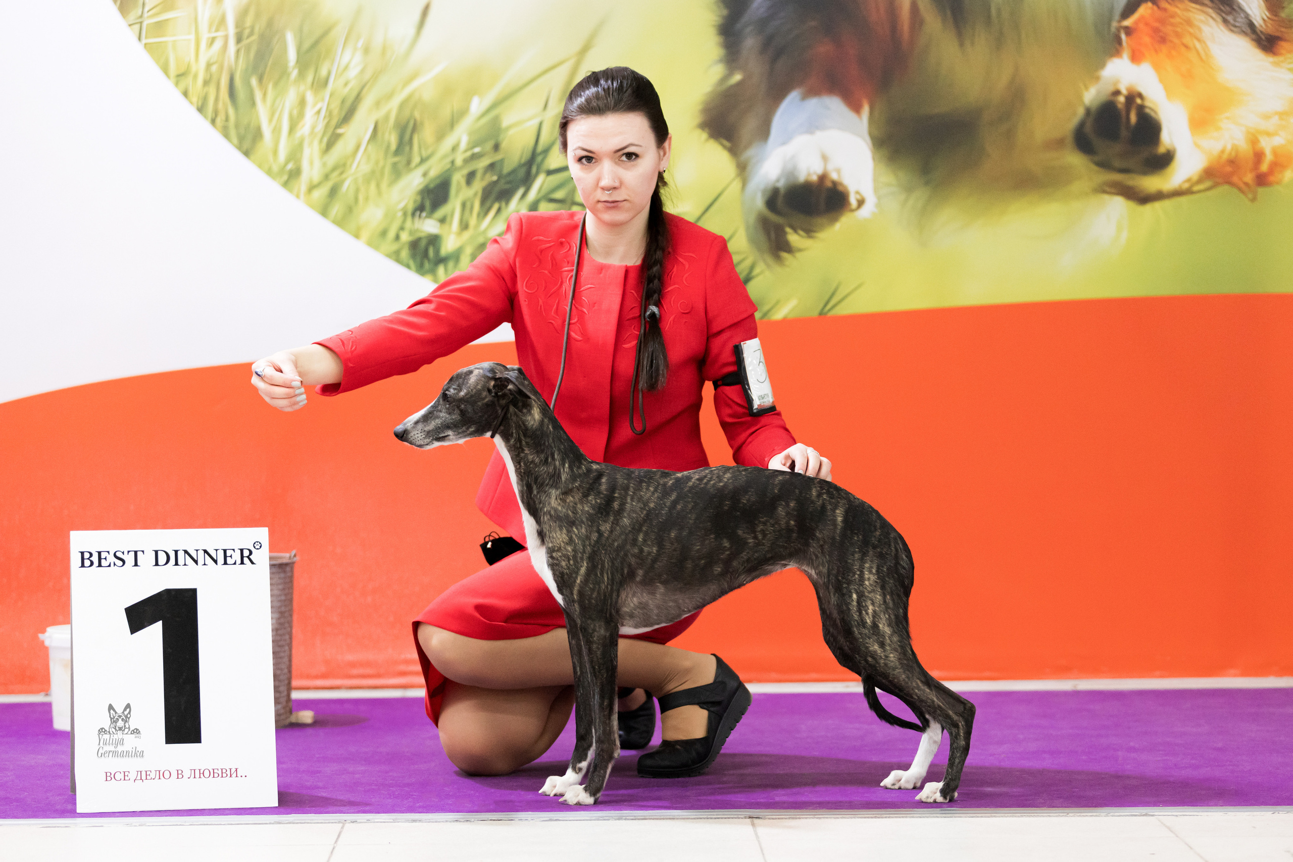 Чайна-Таун 5-8.01.2023. Фотограф-анималист Юлия Германика