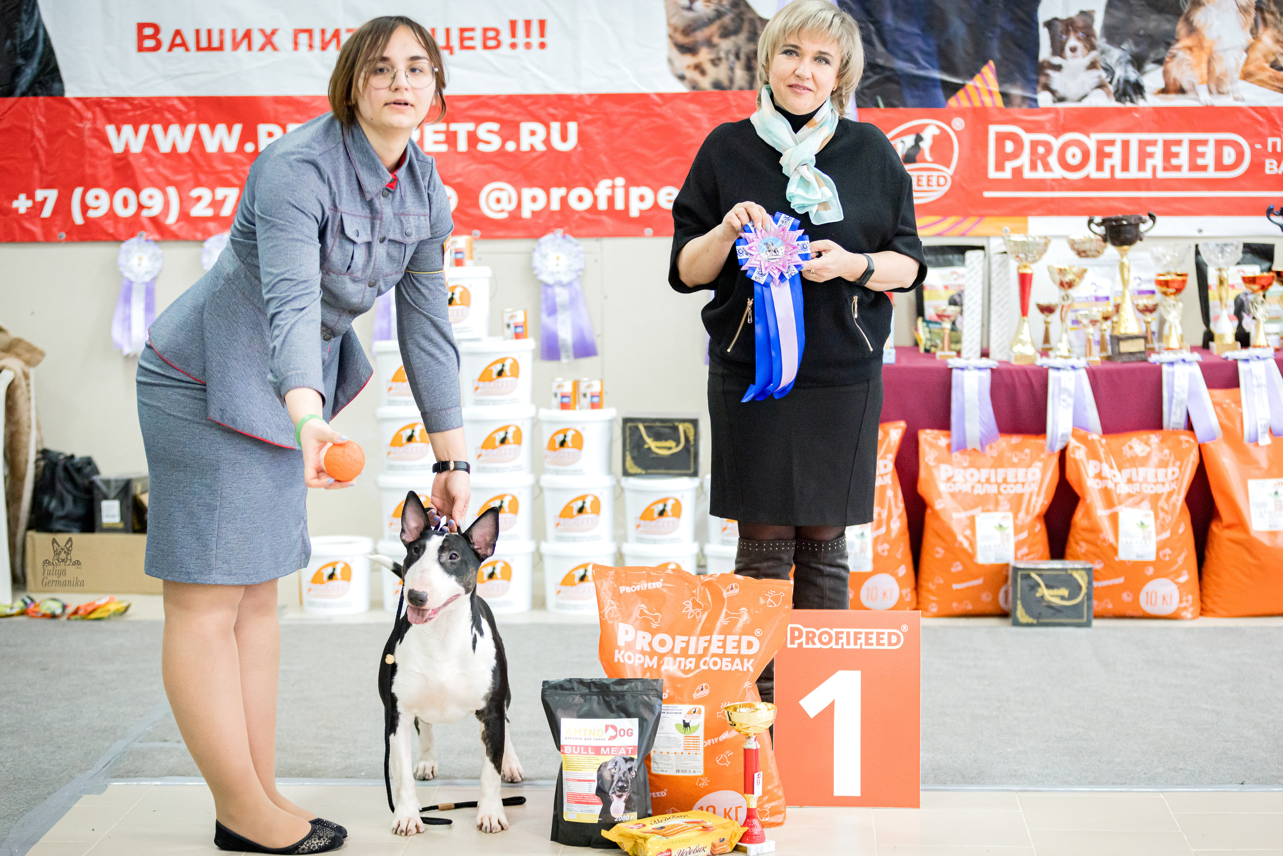 Тверь 19.02.2023. Фотограф-анималист Юлия Германика