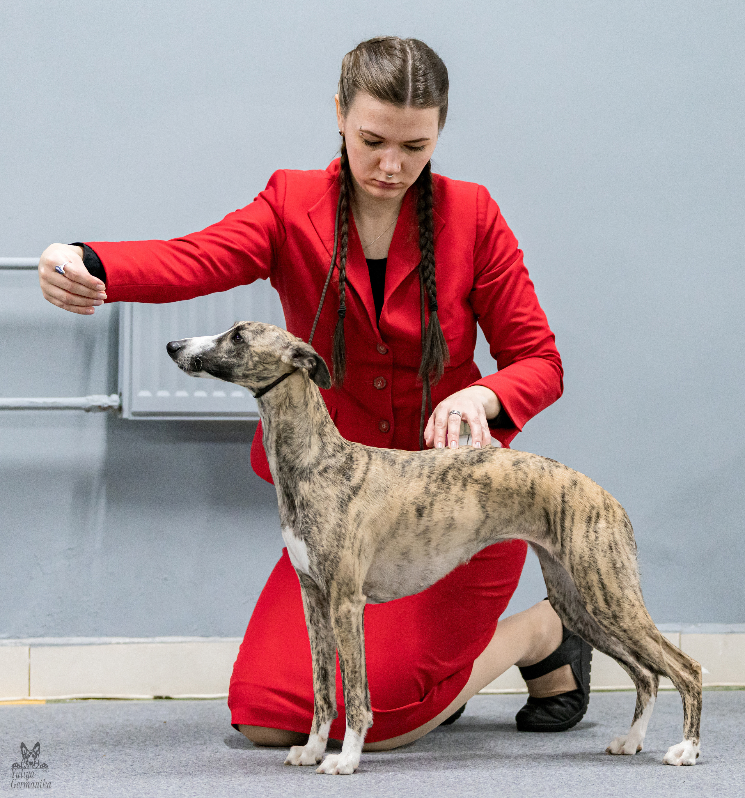 Сфера 5.03.2023. Фотограф-анималист Юлия Германика