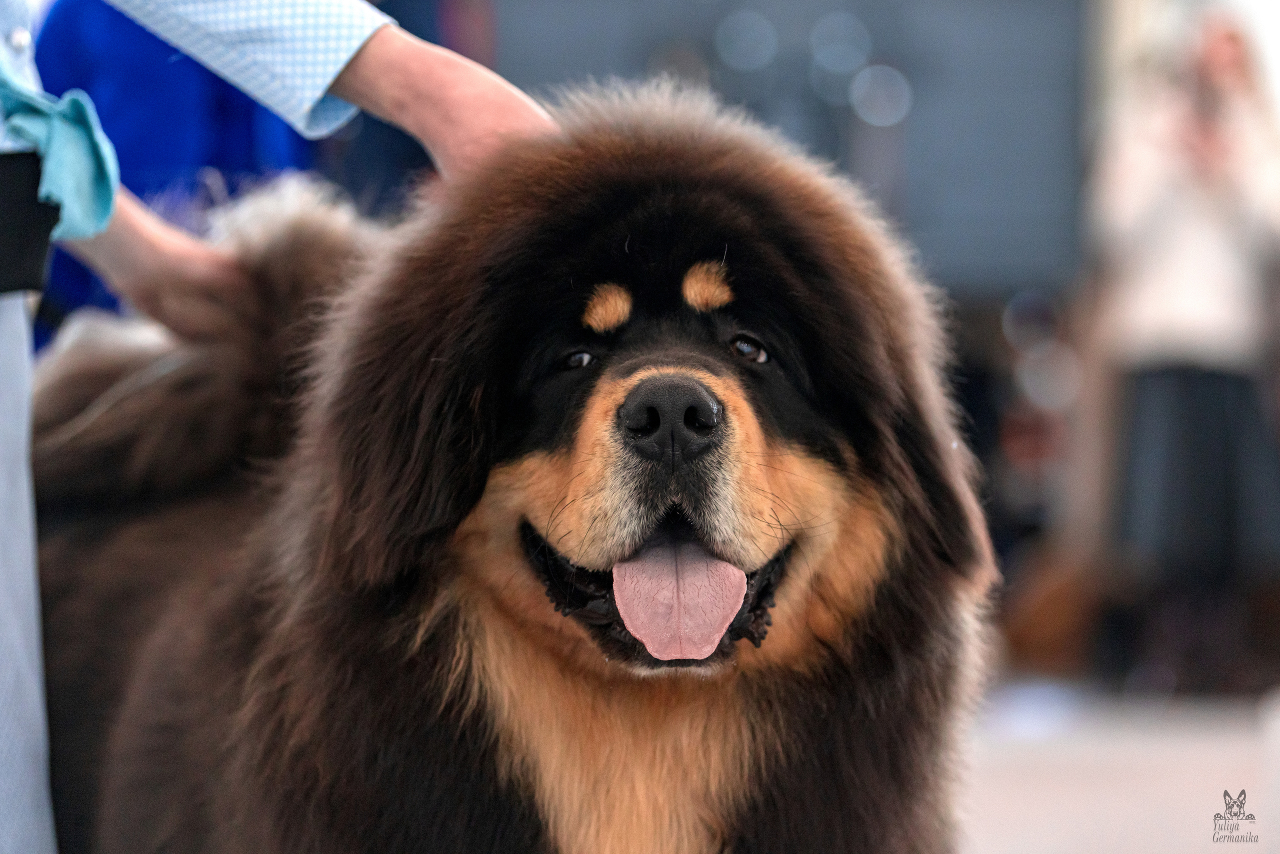 Казань 11.03.2023. Фотограф-анималист Юлия Германика