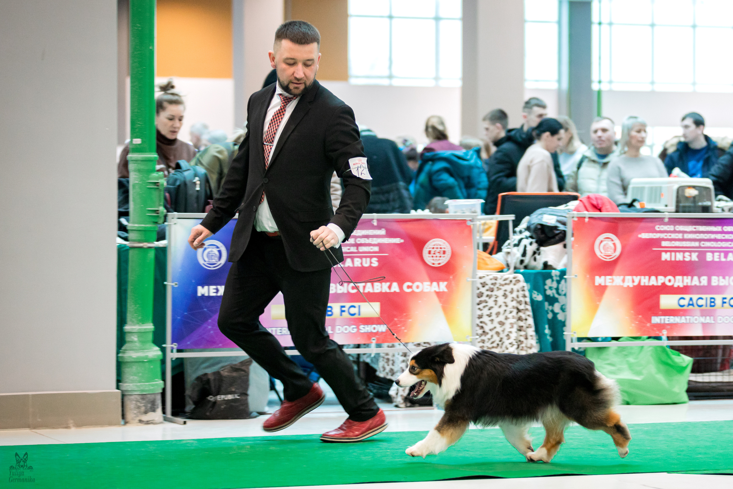 Минск 25-26.02.2023. Фотограф-анималист Юлия Германика
