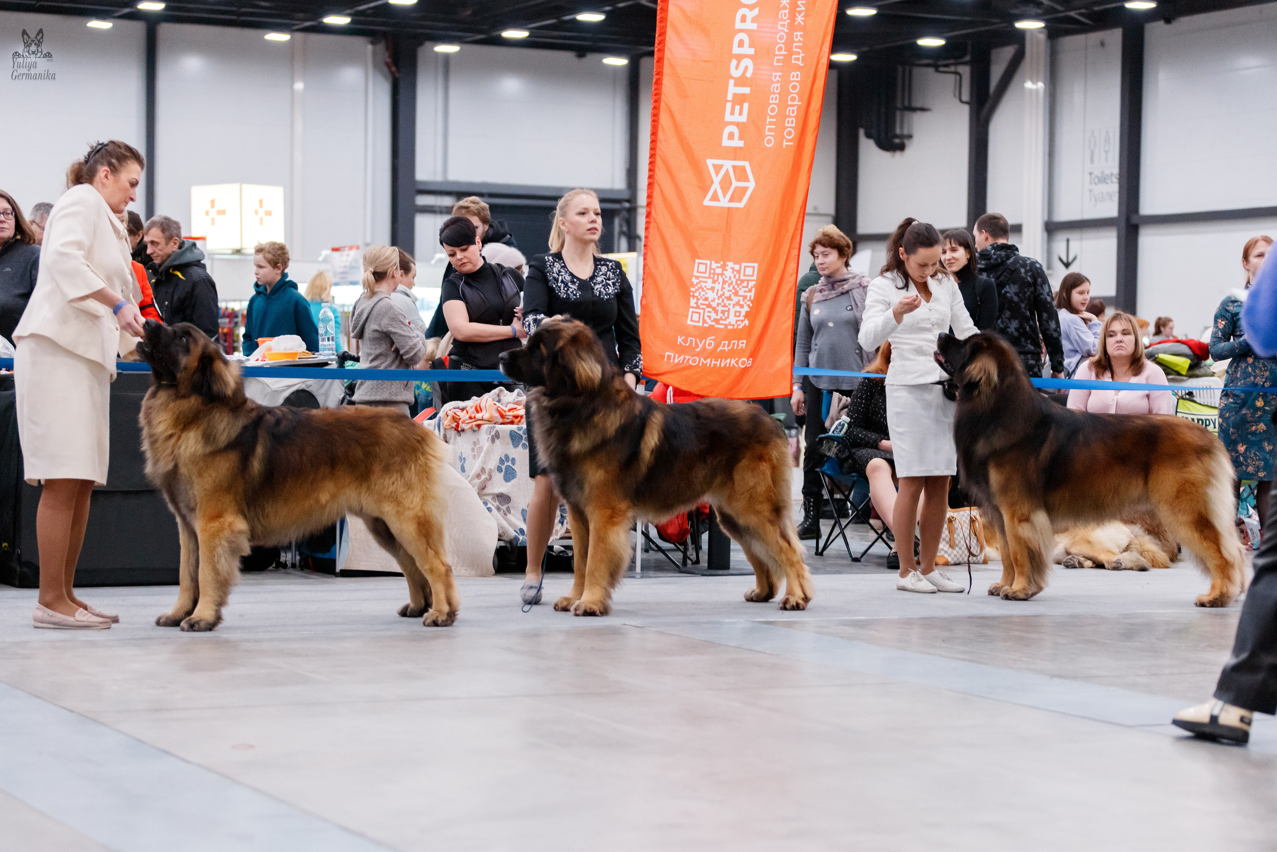 Питер 17-18.12.2022. Фотограф-анималист Юлия Германика