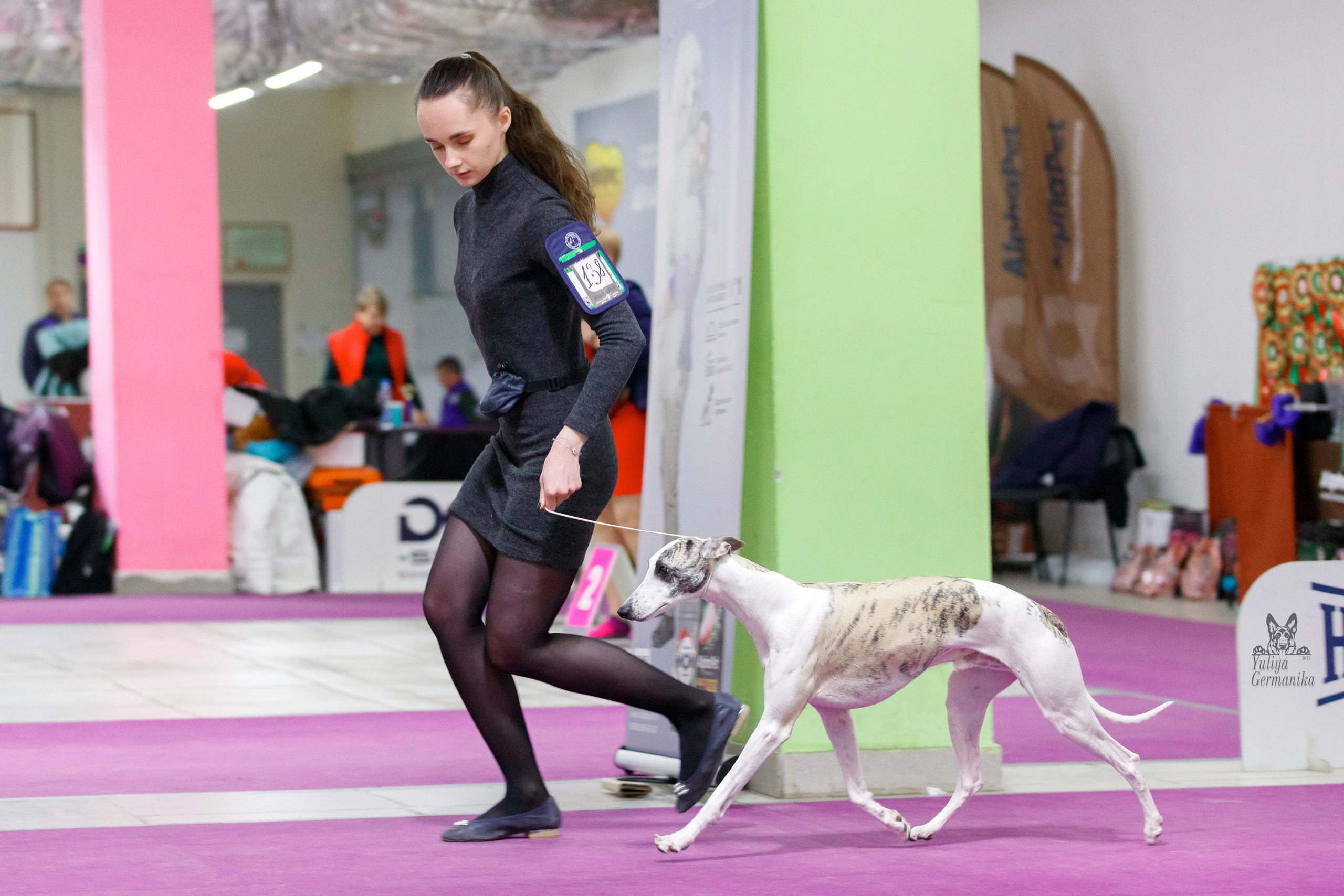 Чайна-Таун 3 и 10.12.2022. Фотограф-анималист Юлия Германика