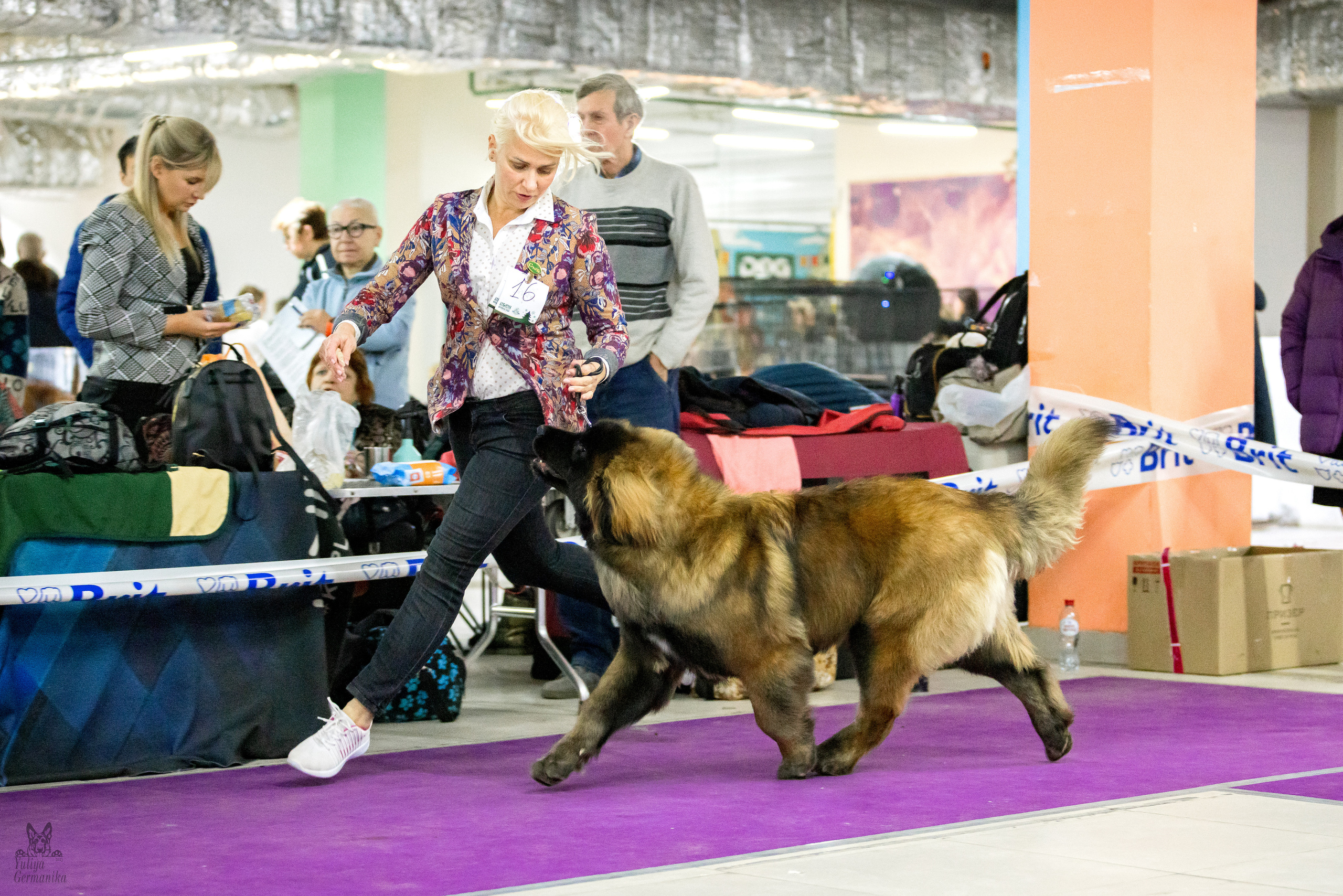 Чайна-Таун 5-8.01.2023. Фотограф-анималист Юлия Германика