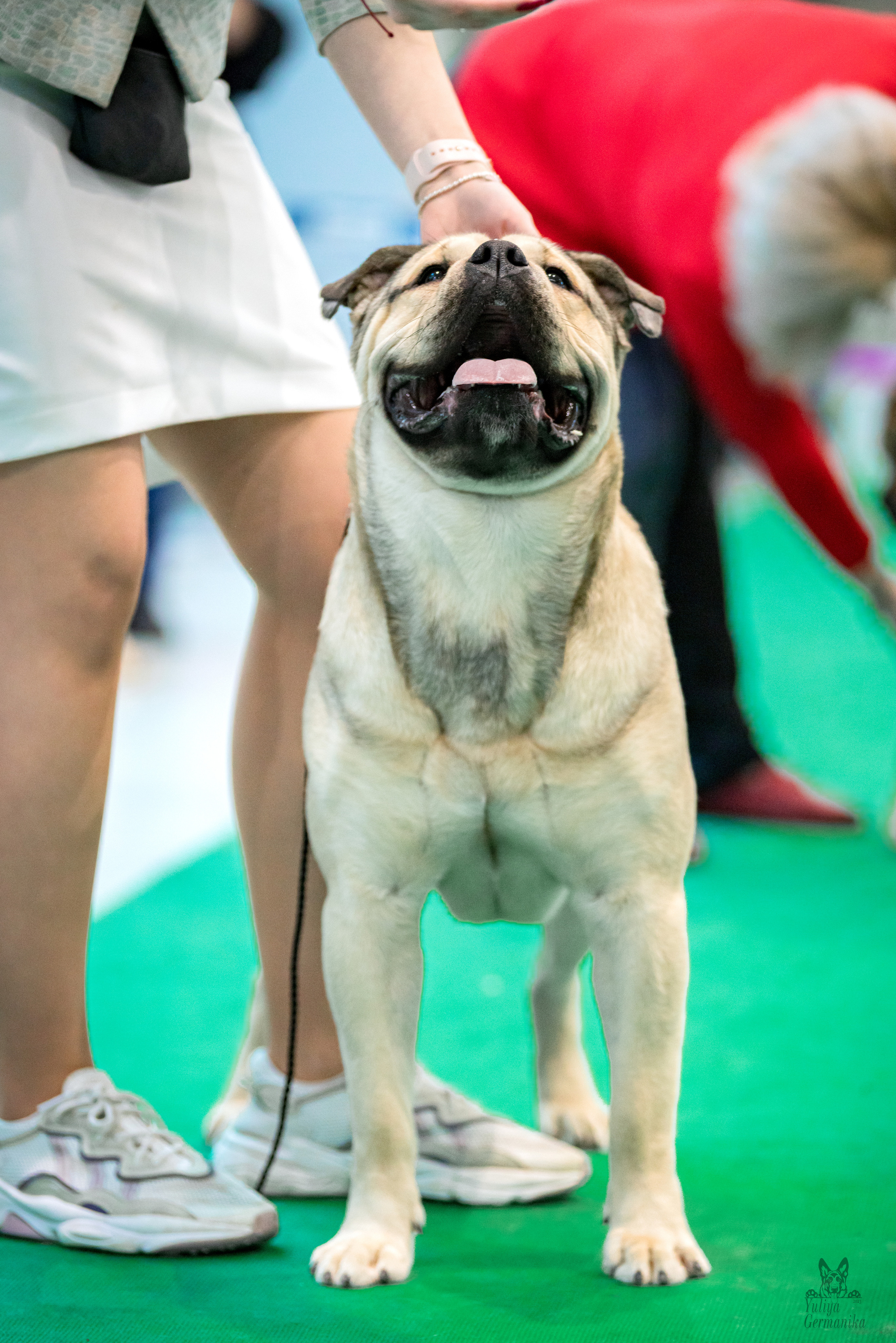 Минск 25-26.02.2023. Фотограф-анималист Юлия Германика