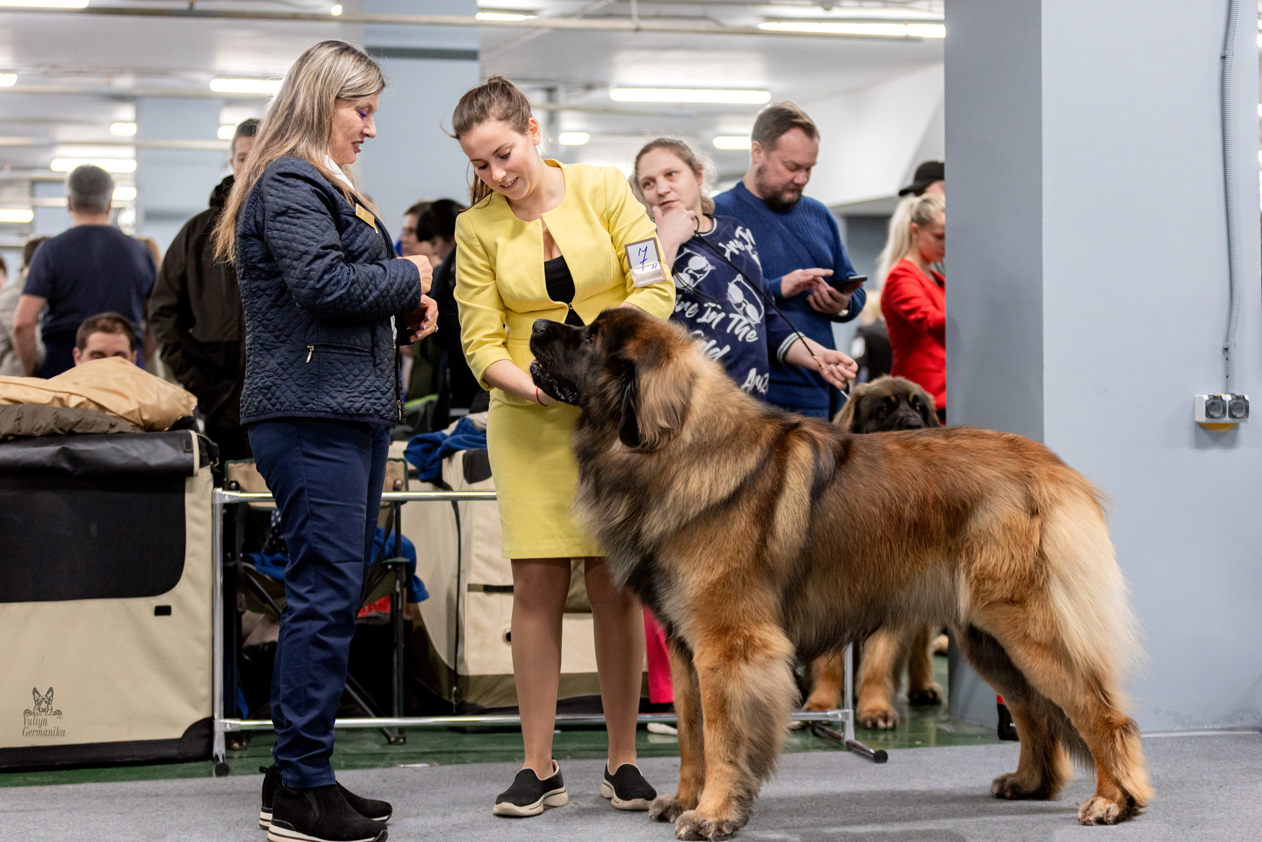 Сфера 5.03.2023. Фотограф-анималист Юлия Германика