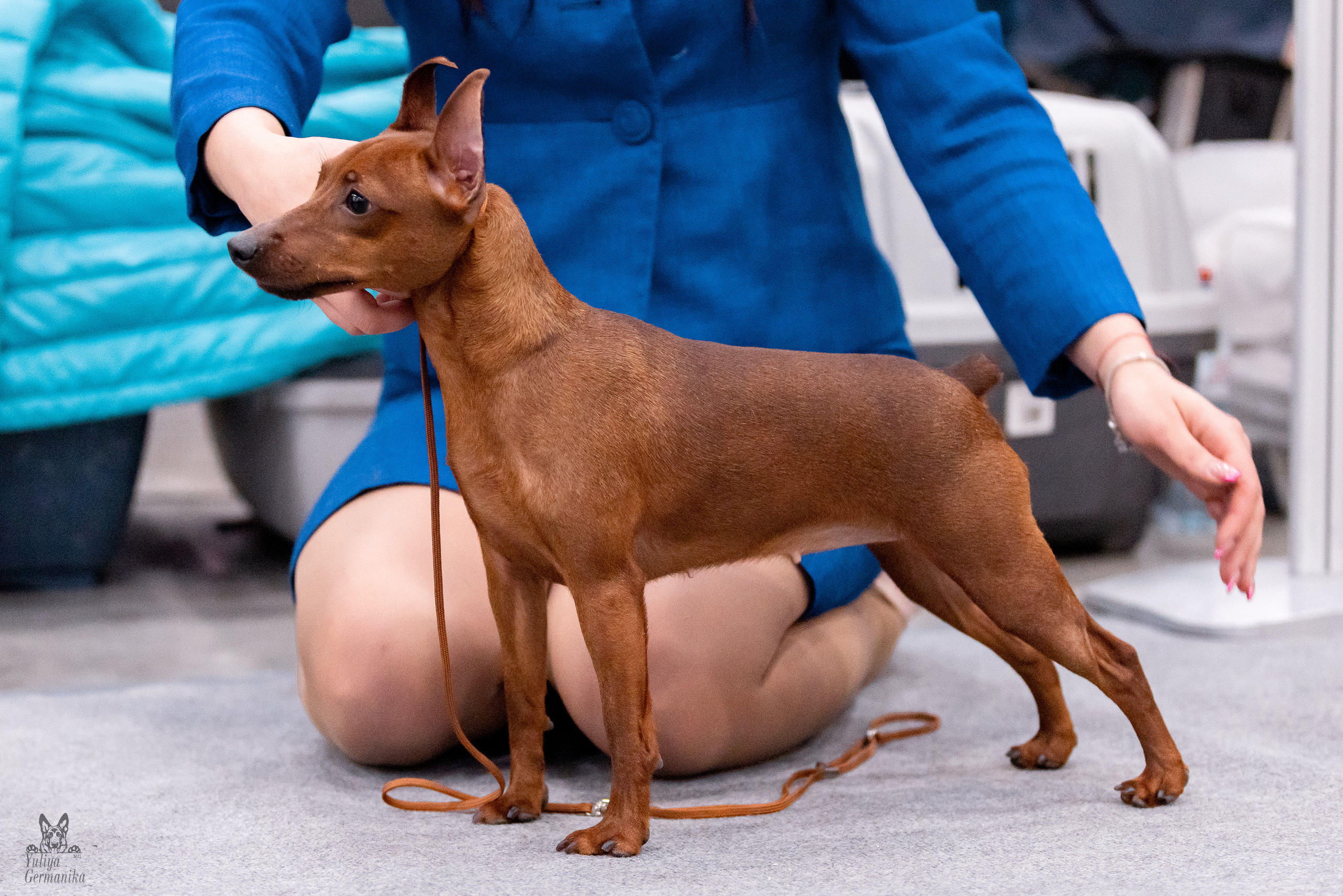 Питер 17-18.12.2022. Фотограф-анималист Юлия Германика