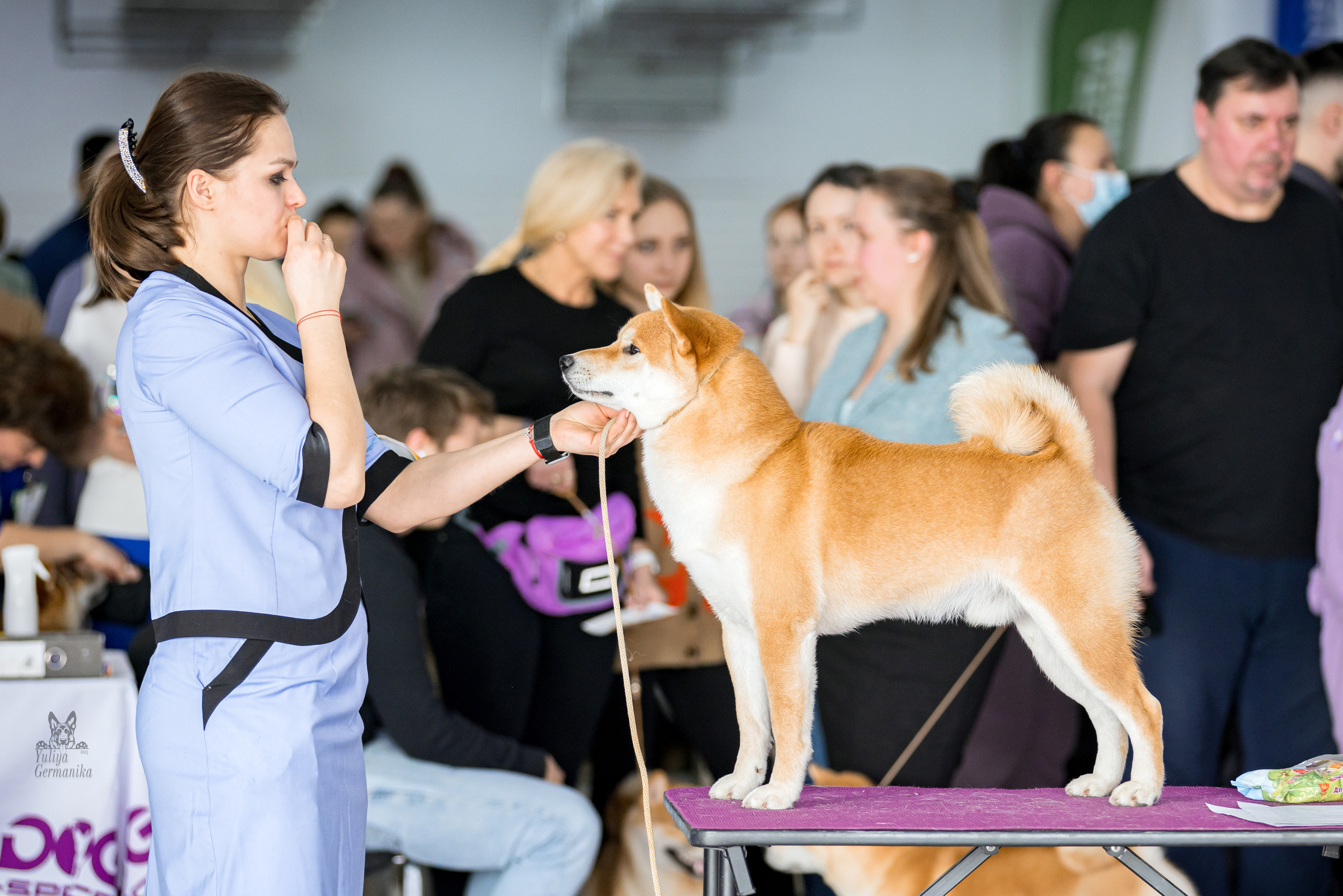 Можайский двор 18.02.2023. Фотограф-анималист Юлия Германика