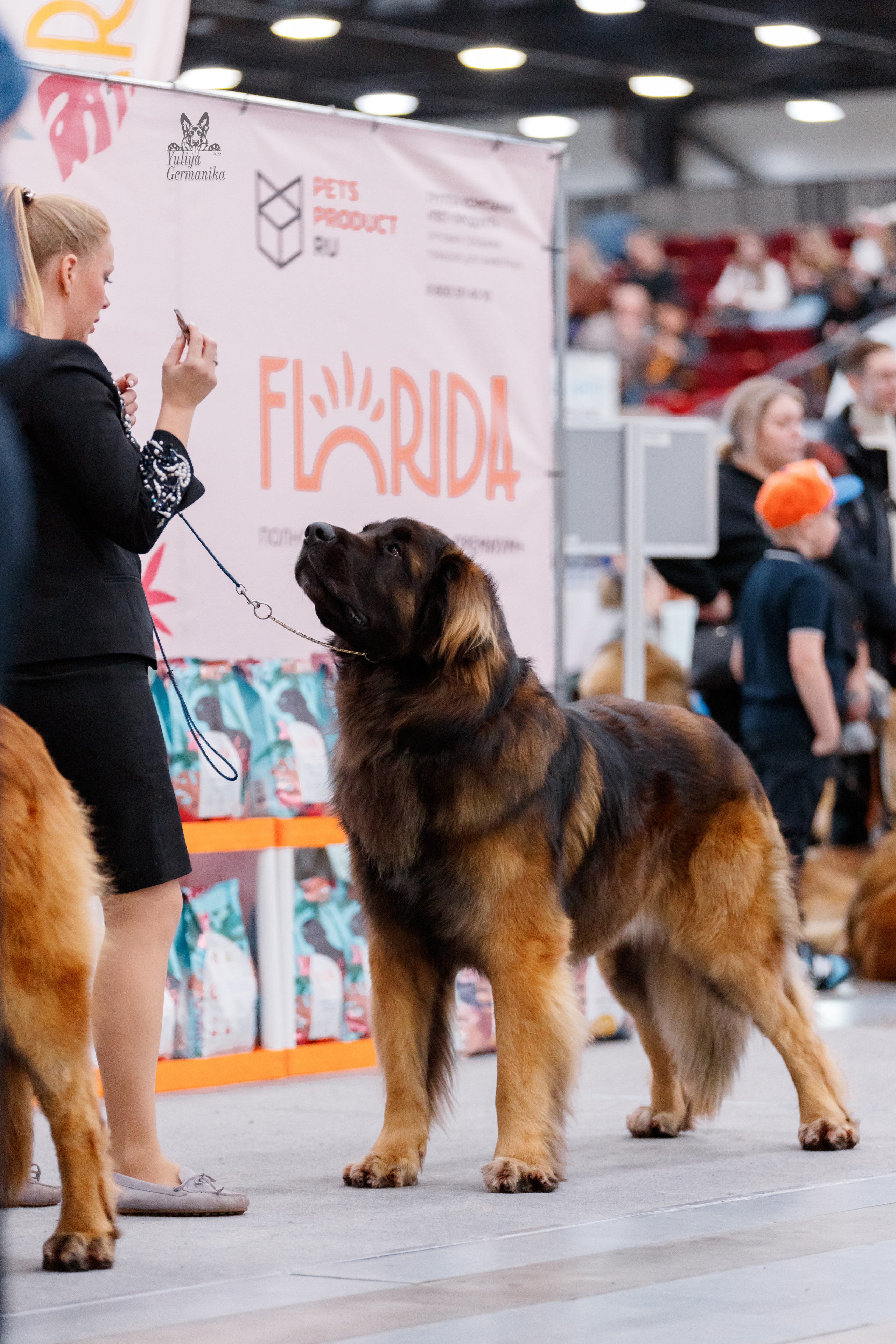 Питер 17-18.12.2022. Фотограф-анималист Юлия Германика