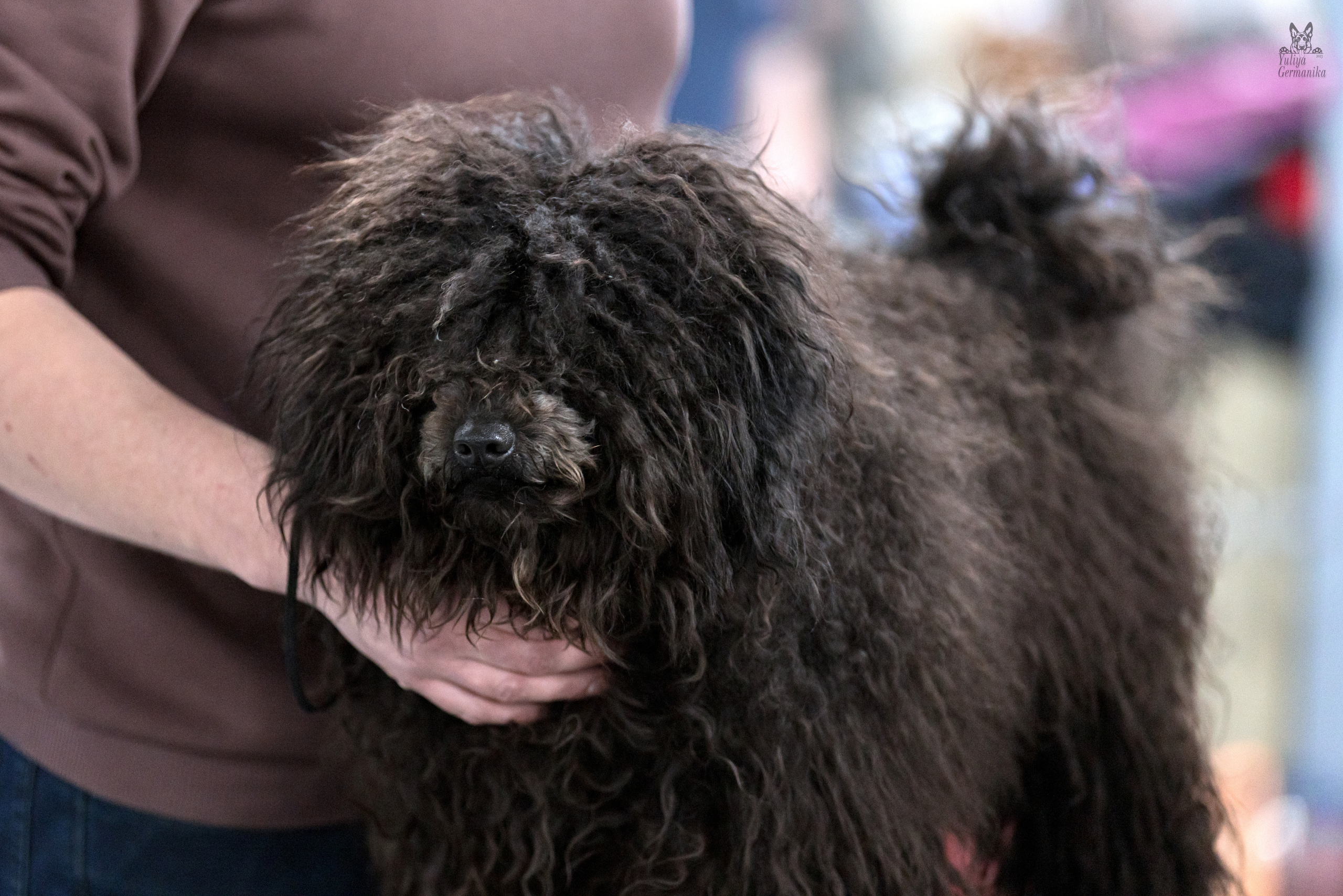 Сфера 5.03.2023. Фотограф-анималист Юлия Германика