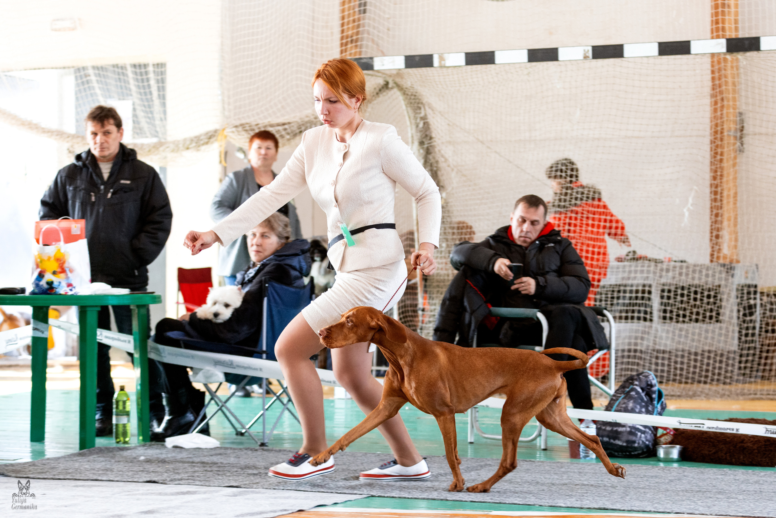 Тверь 19.03.2023. Фотограф-анималист Юлия Германика