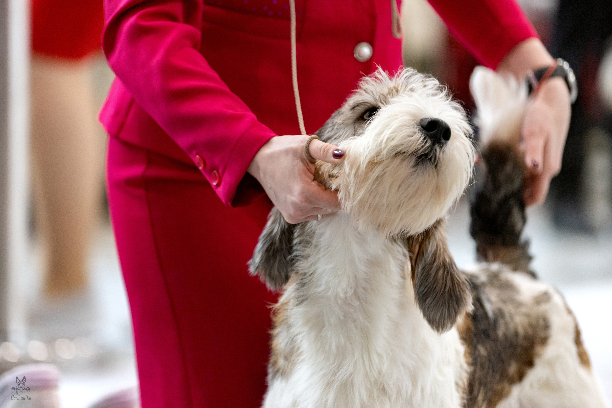 Сабанеевка,Казань 28-29.01.2023. Фотограф-анималист Юлия Германика