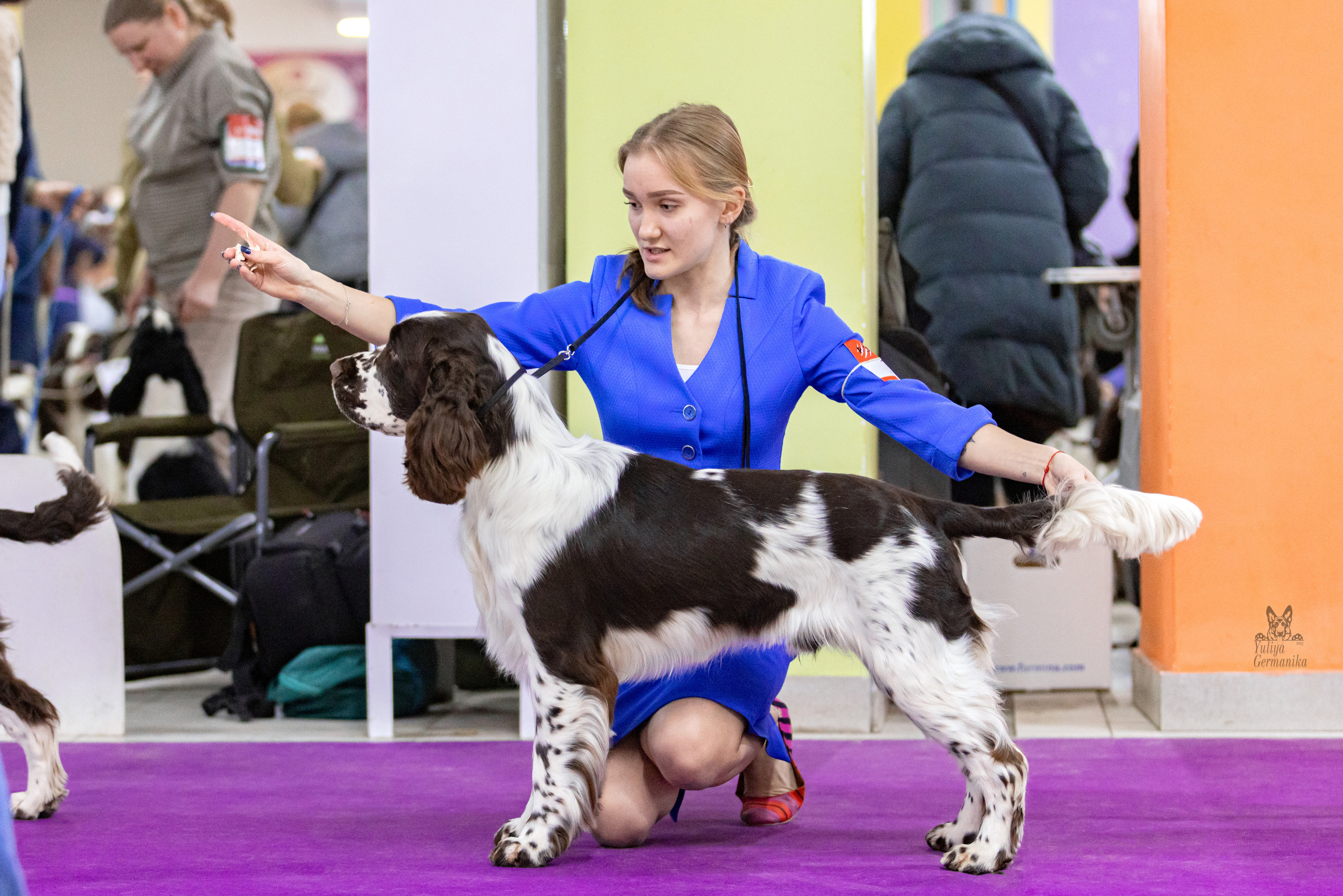 Чайна-Таун 15,21 и 22.01.2023. Фотограф-анималист Юлия Германика