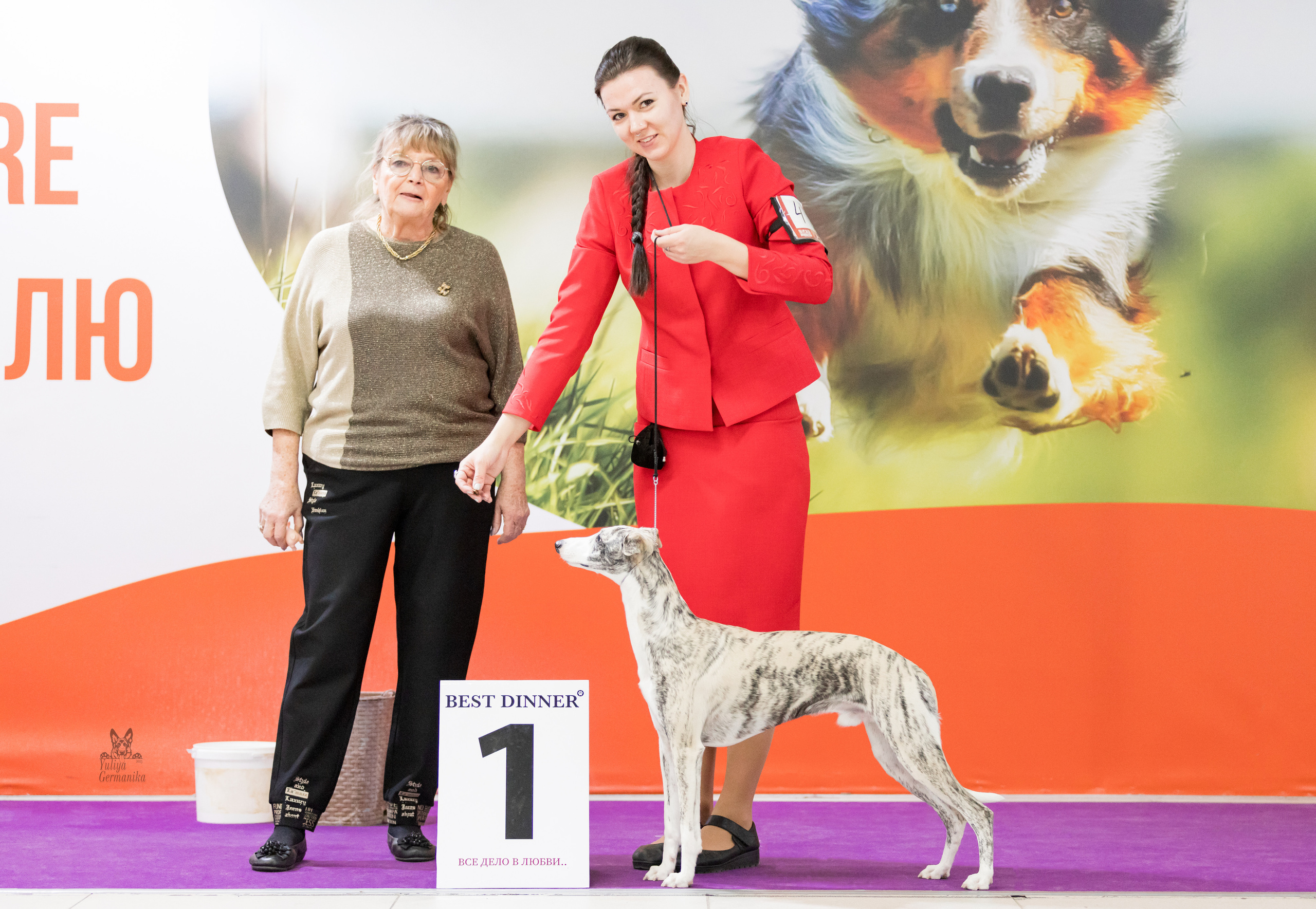 Чайна-Таун 5-8.01.2023. Фотограф-анималист Юлия Германика