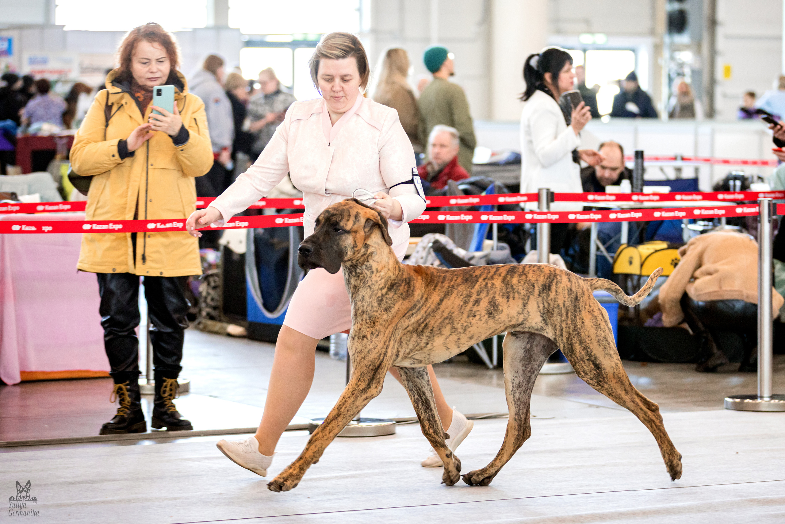 Казань 11.03.2023. Фотограф-анималист Юлия Германика