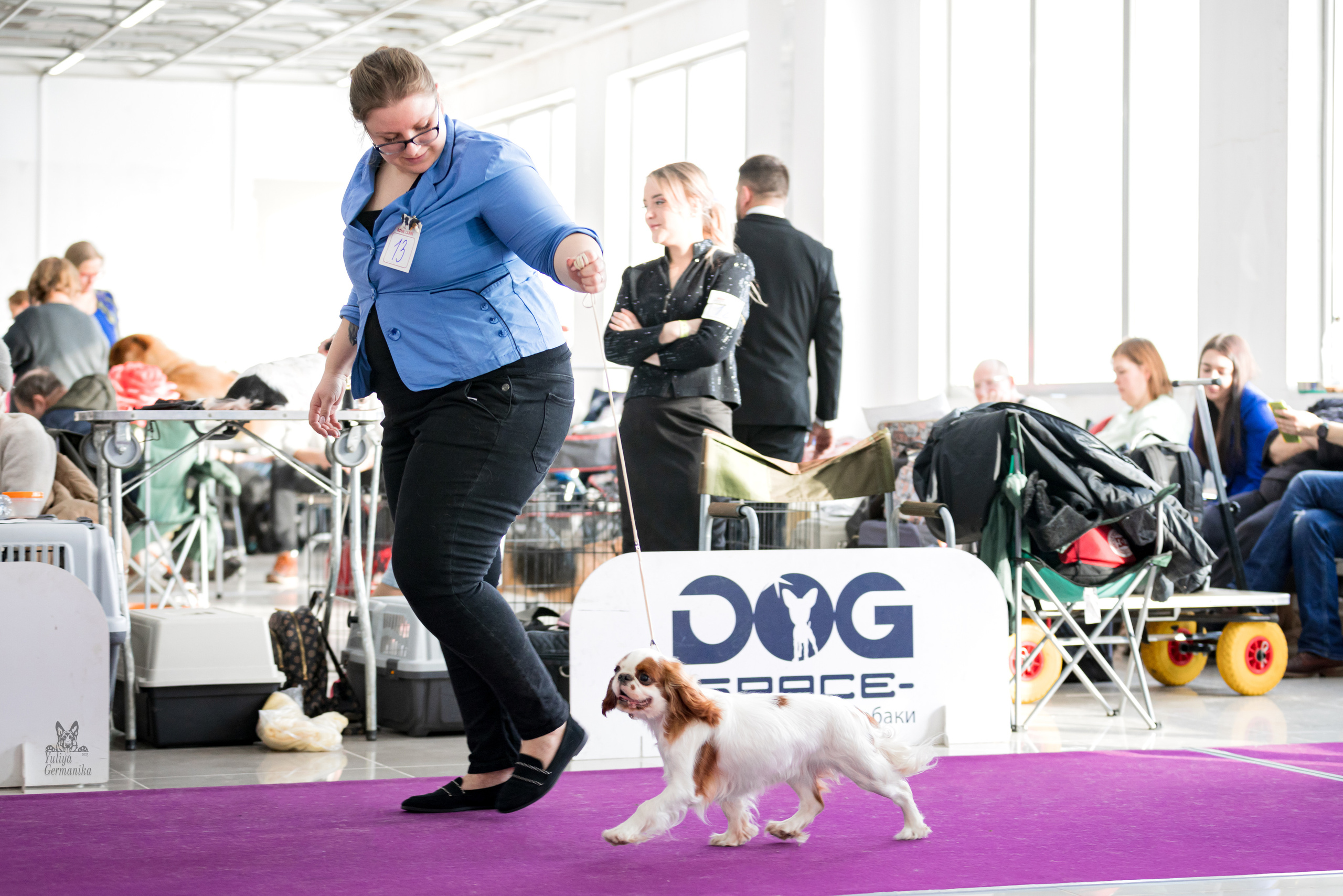 Можайский двор 11-12.02.2023. Фотограф-анималист Юлия Германика