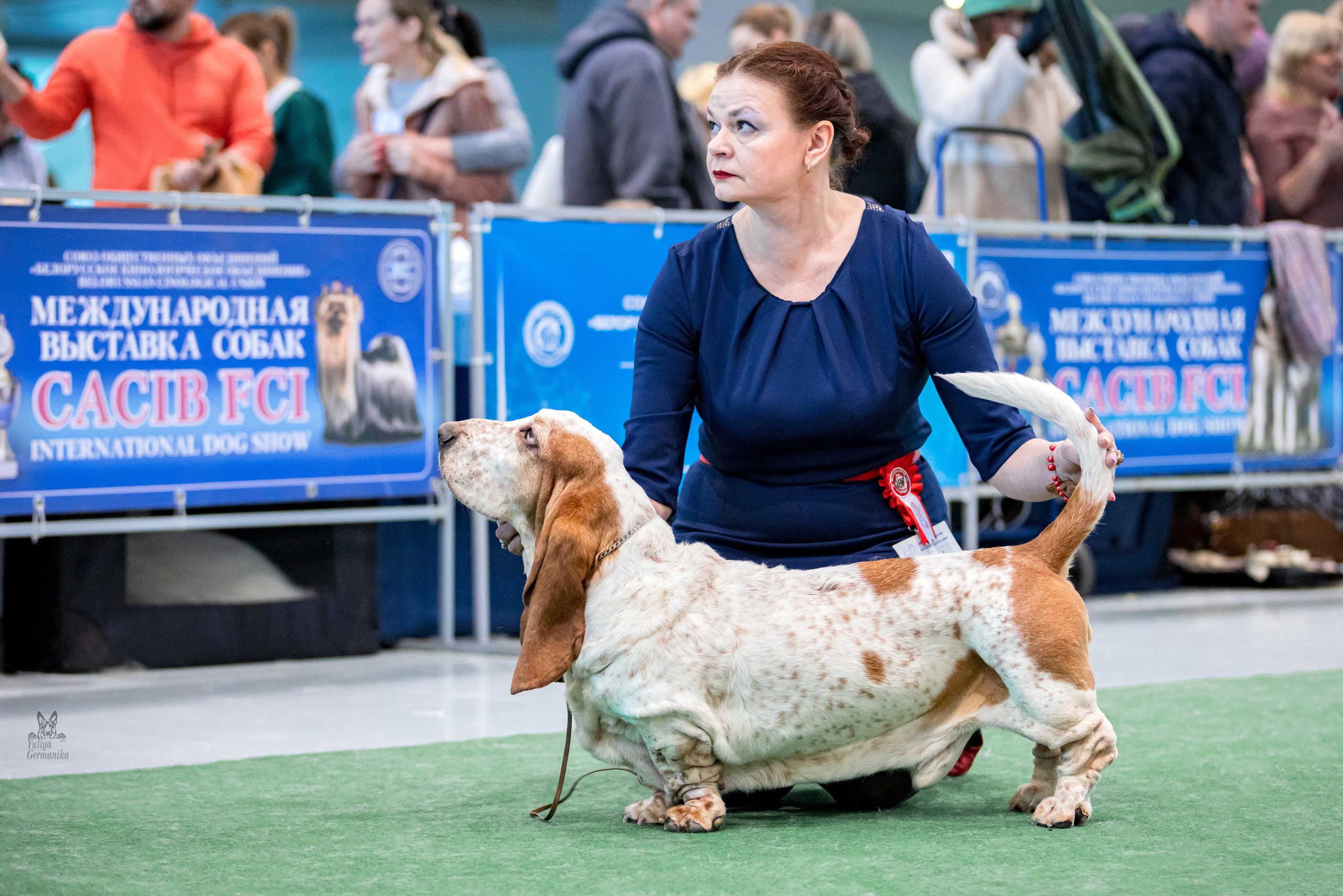Минск 25-26.02.2023. Фотограф-анималист Юлия Германика