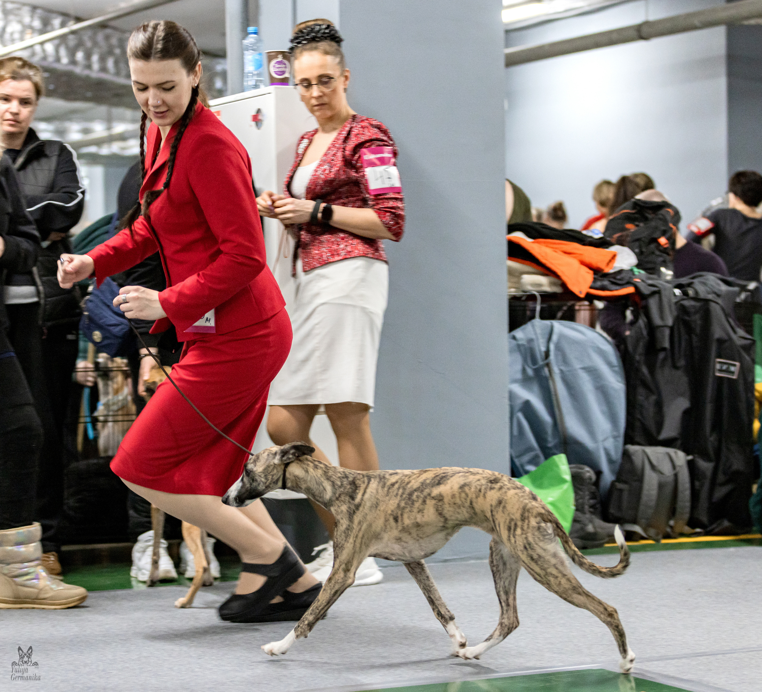 Сфера 5.03.2023. Фотограф-анималист Юлия Германика