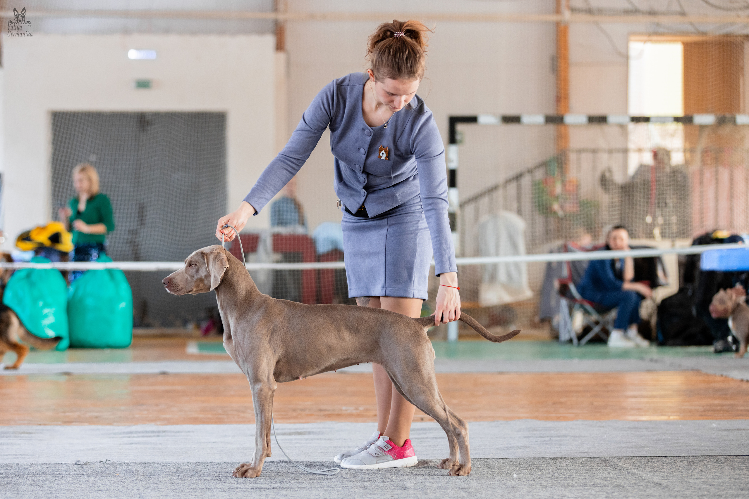 Тверь 19.03.2023. Фотограф-анималист Юлия Германика