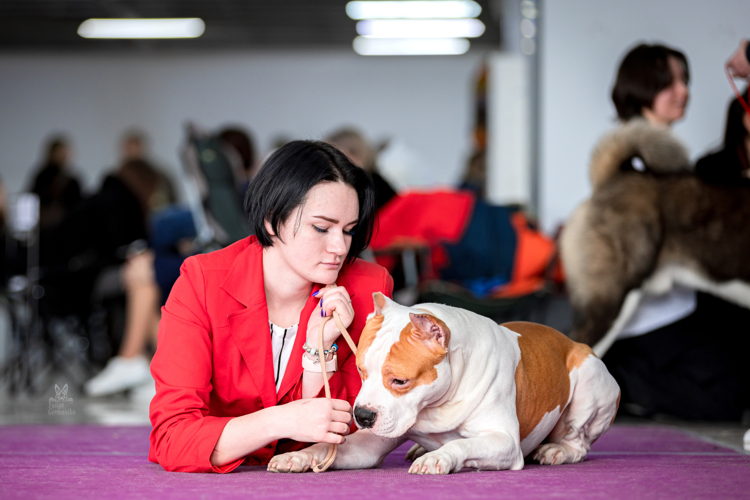 Можайский двор 11-12.02.2023. Фотограф-анималист Юлия Германика