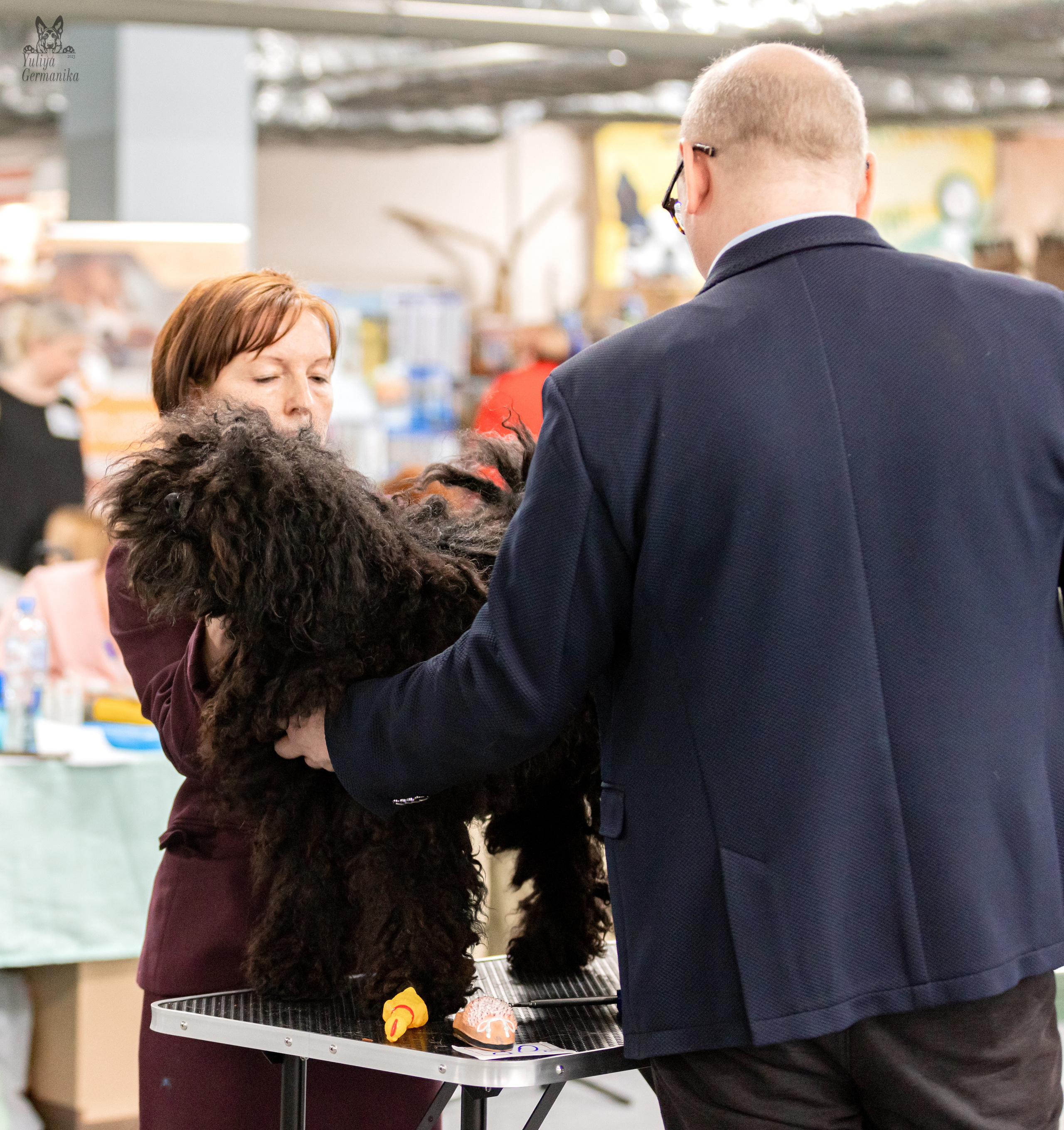 Сфера 5.03.2023. Фотограф-анималист Юлия Германика