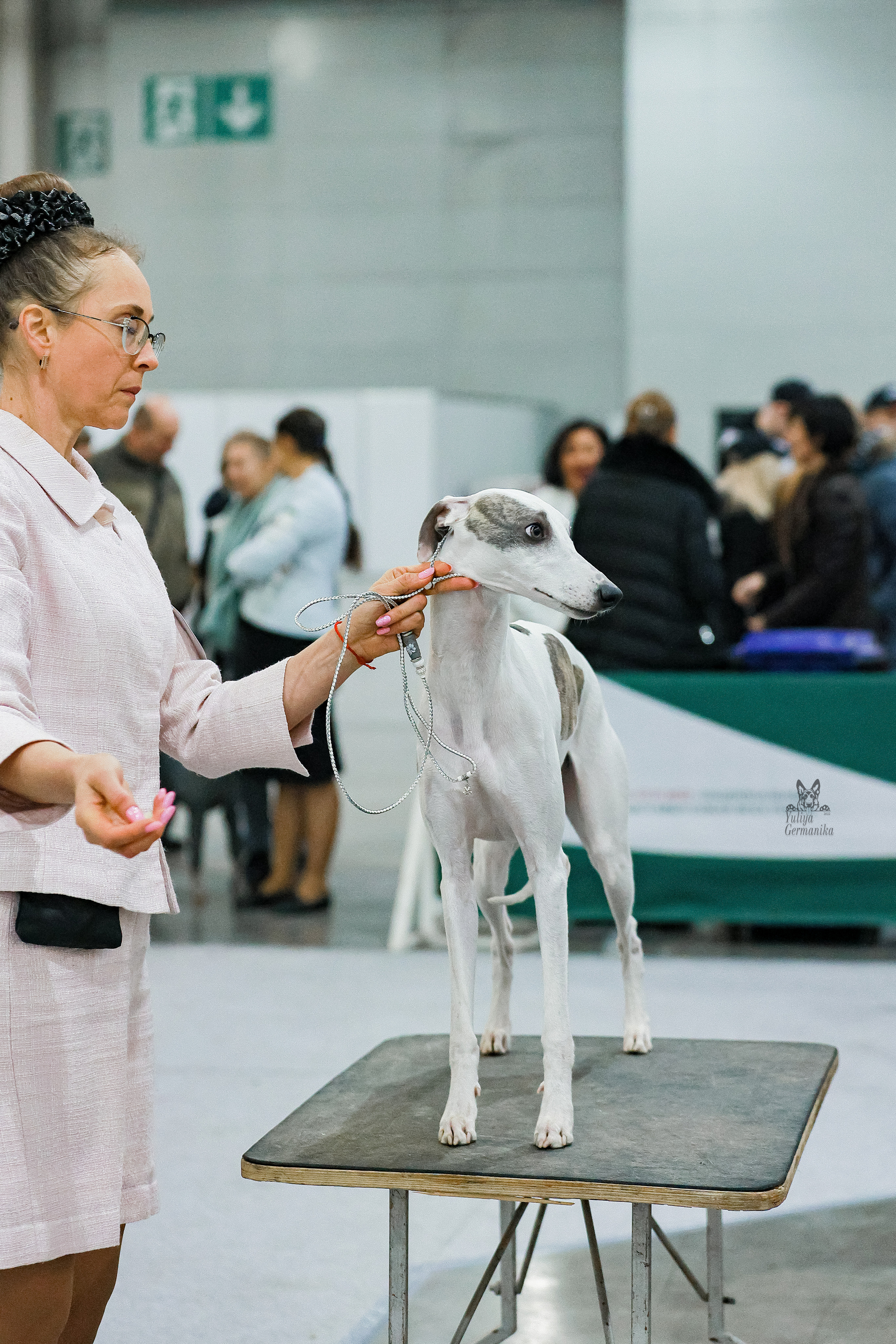 Россия 2020-2022 26-27.11.2022. Фотограф-анималист Юлия Германика