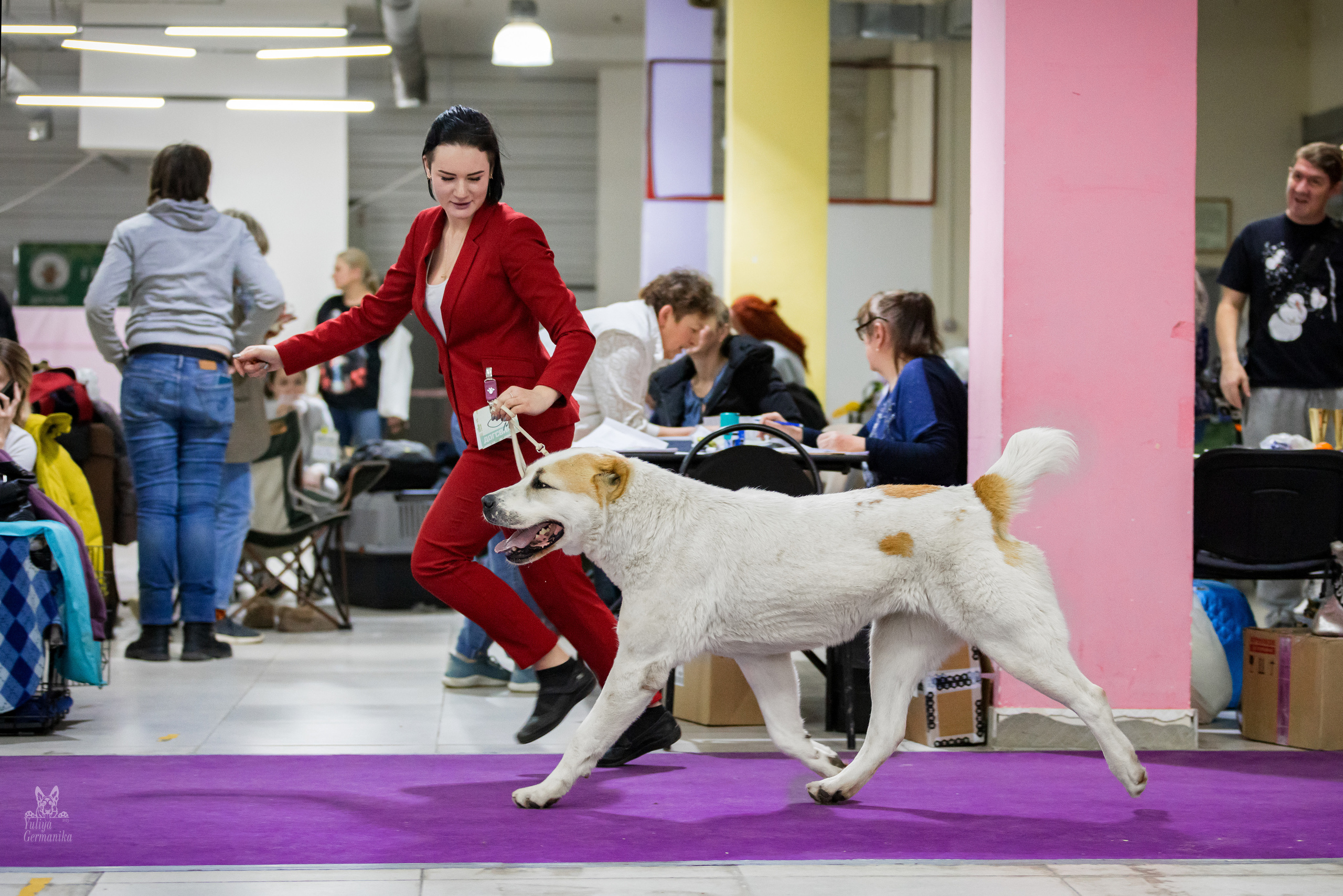 Чайна-Таун 5-8.01.2023. Фотограф-анималист Юлия Германика