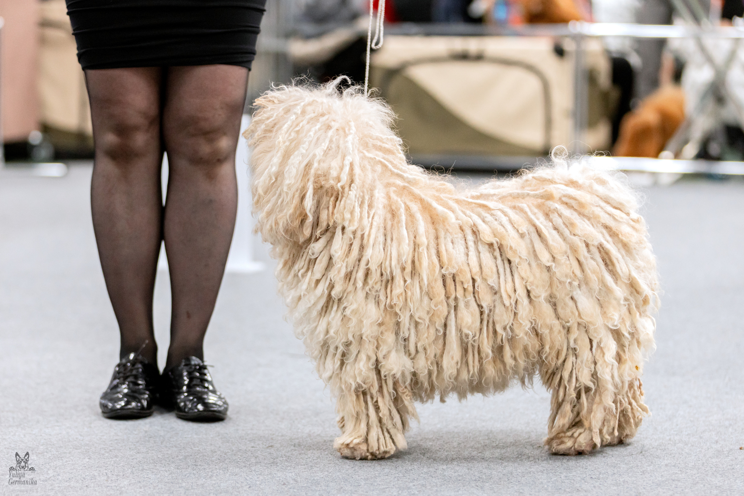 Сфера 5.03.2023. Фотограф-анималист Юлия Германика