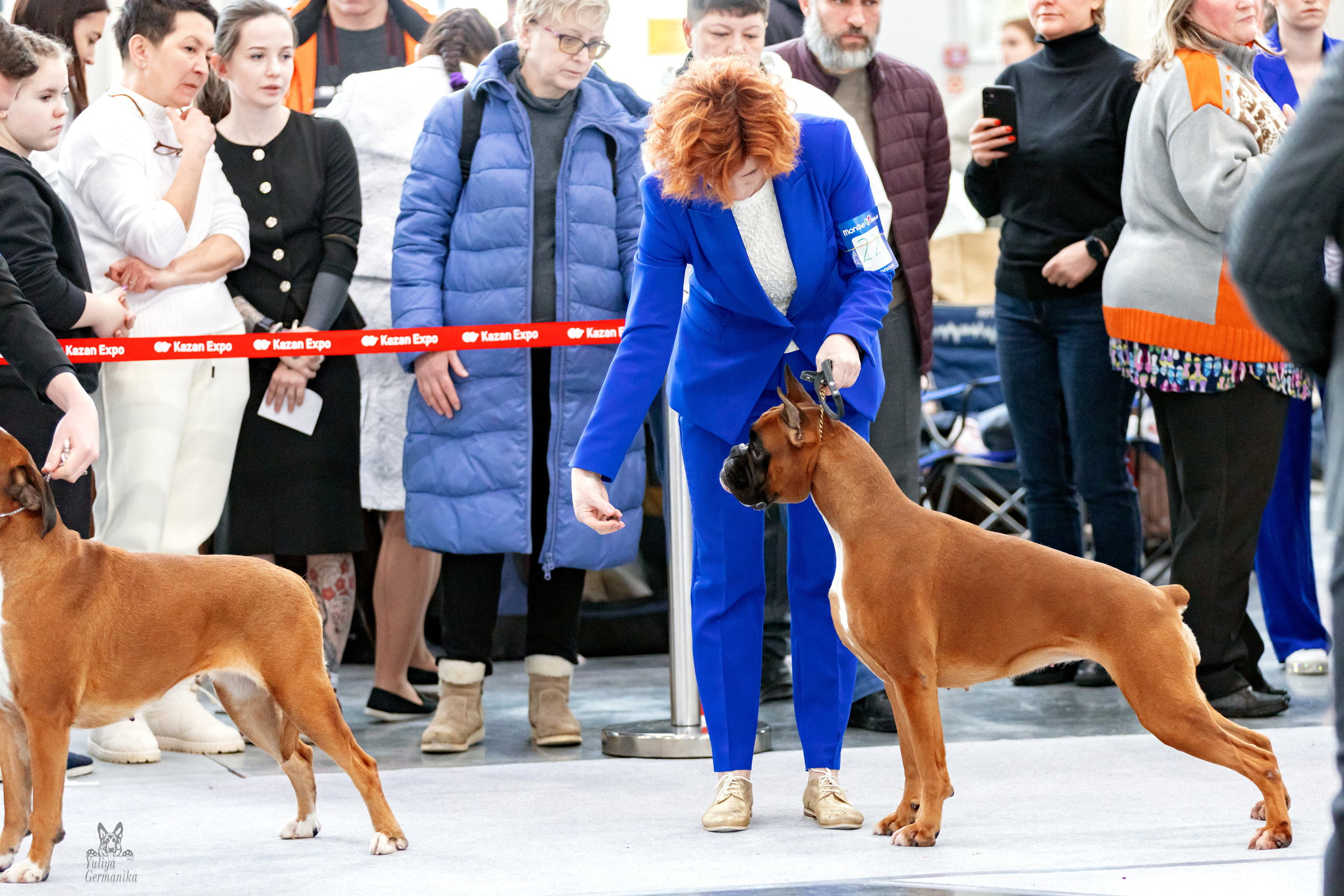 Сабанеевка,Казань 28-29.01.2023. Фотограф-анималист Юлия Германика