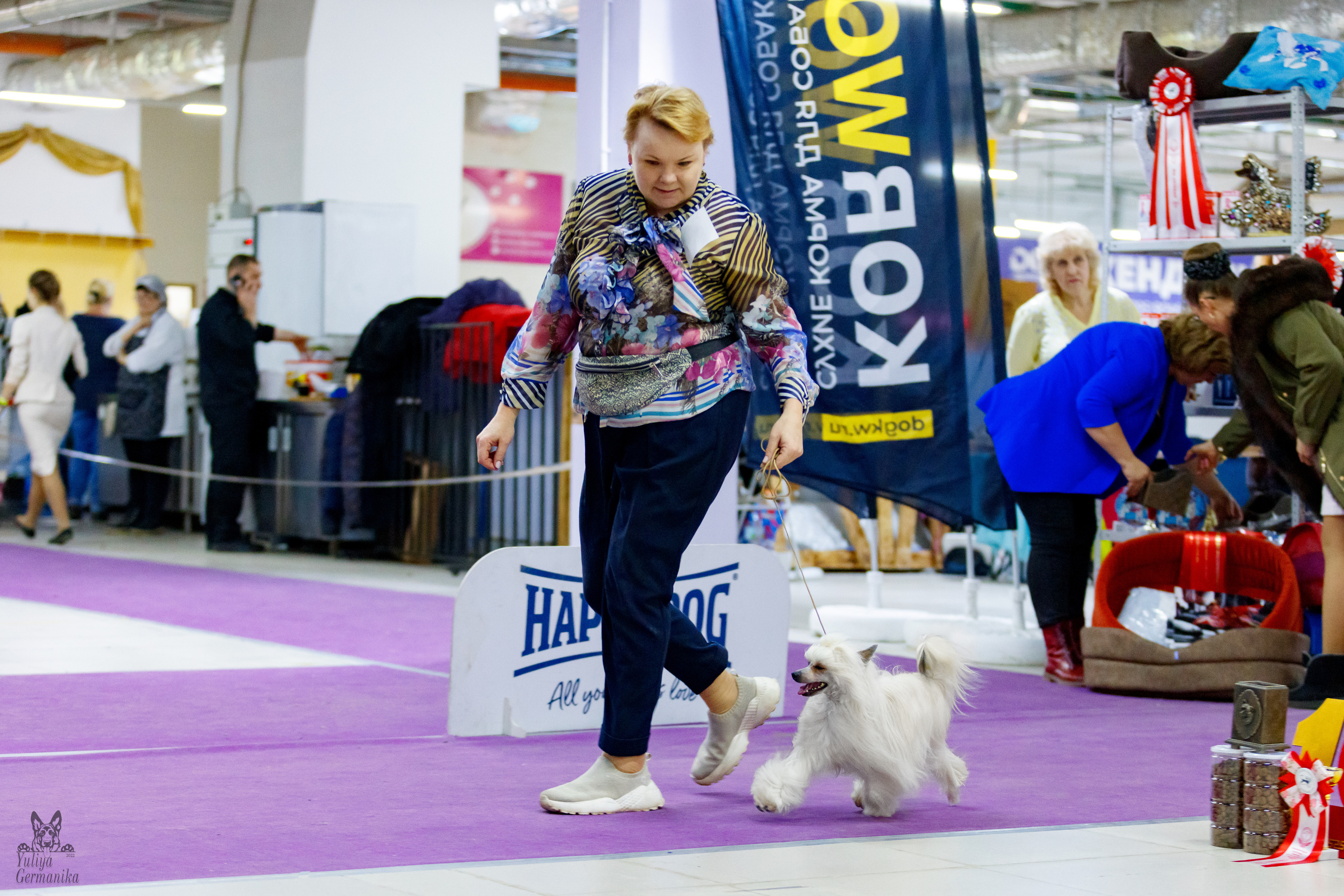 Чайна-Таун 3 и 10.12.2022. Фотограф-анималист Юлия Германика