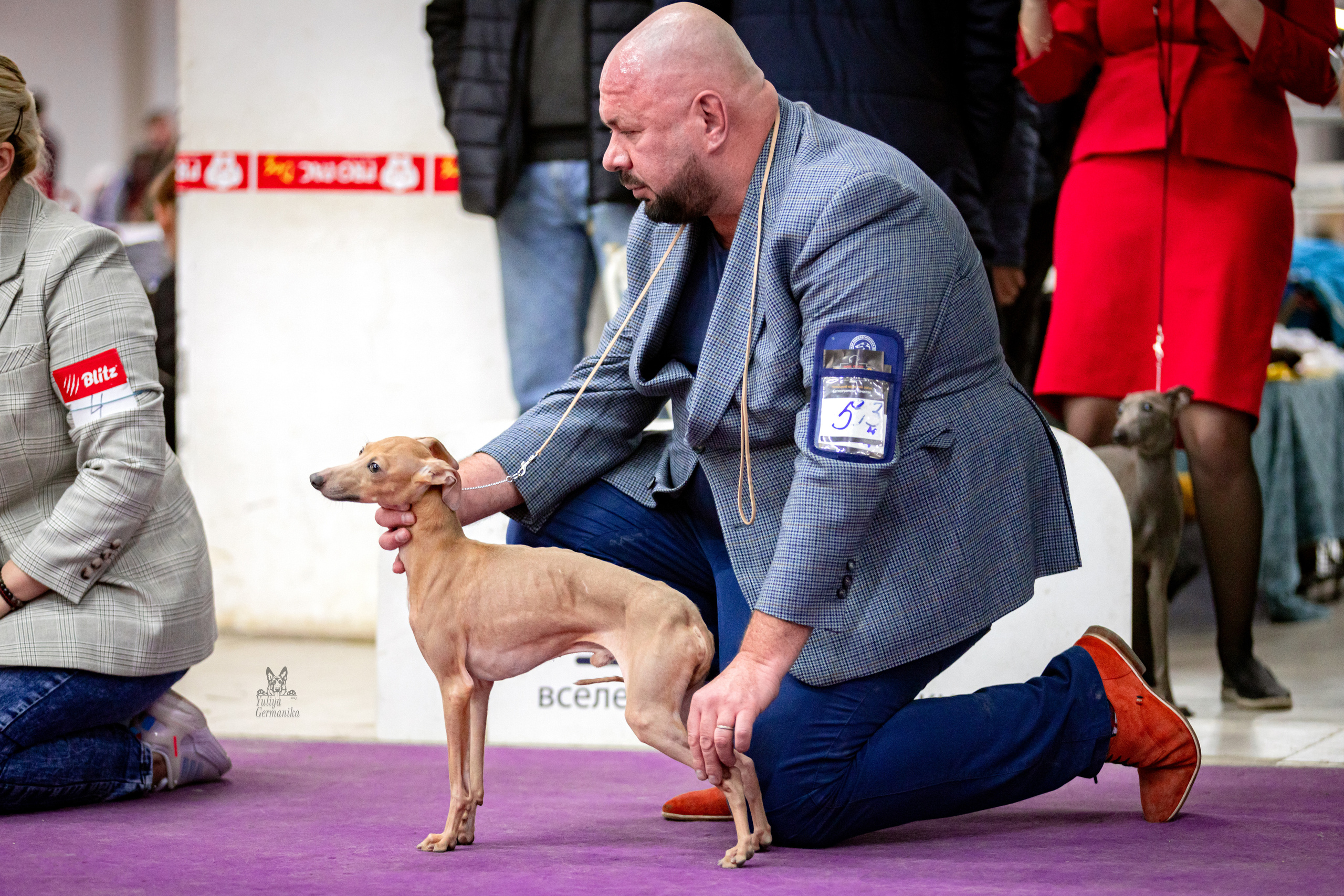 Чайна-Таун 15,21 и 22.01.2023. Фотограф-анималист Юлия Германика