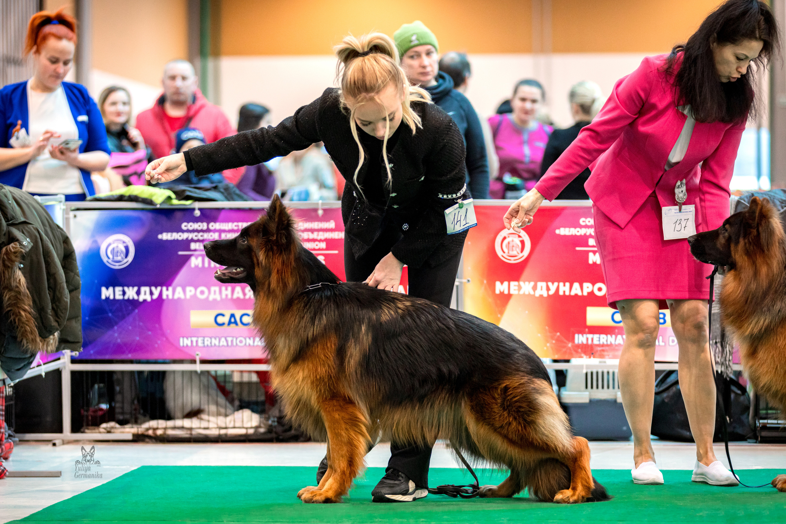 Минск 25-26.02.2023. Фотограф-анималист Юлия Германика