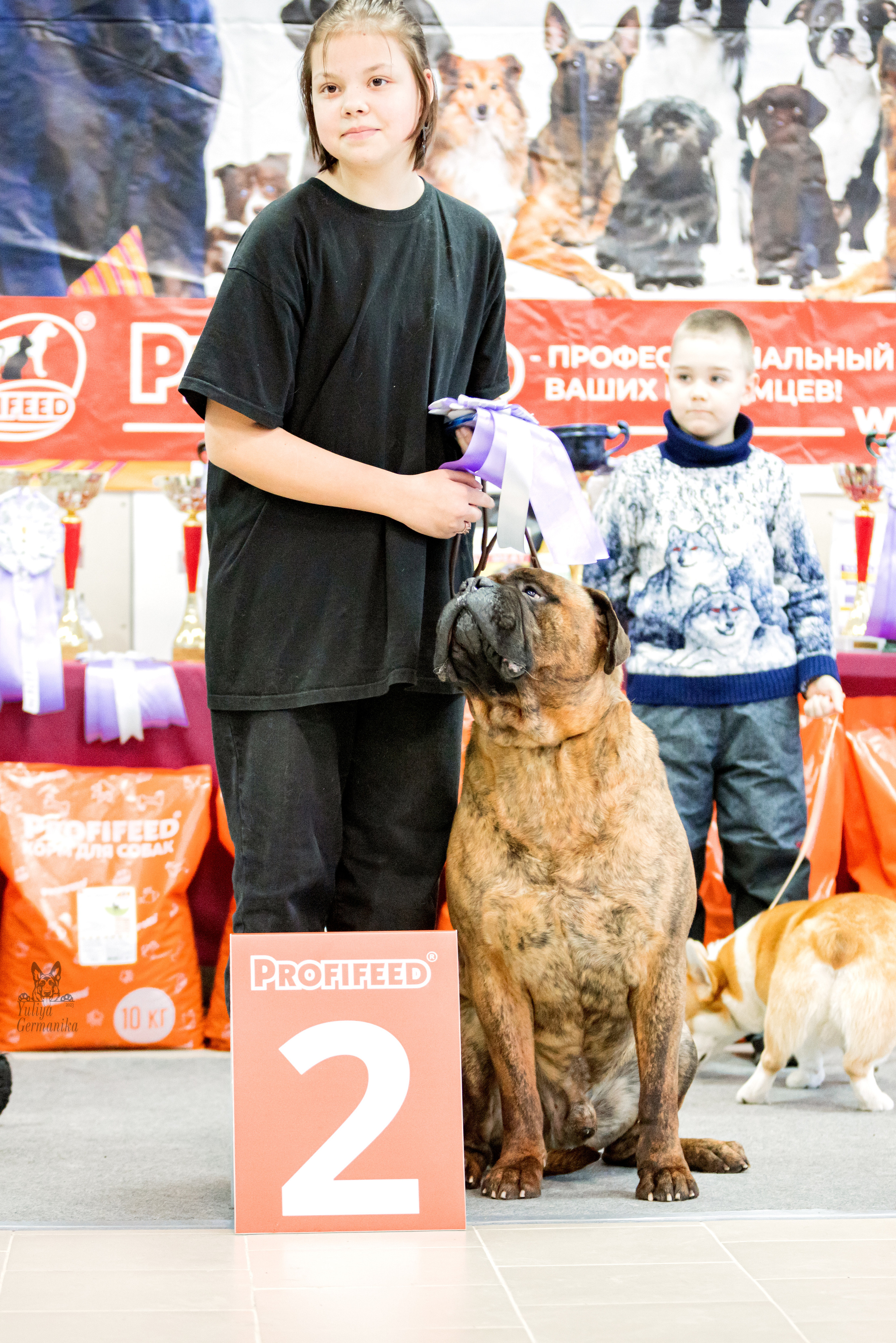 Тверь 19.02.2023. Фотограф-анималист Юлия Германика