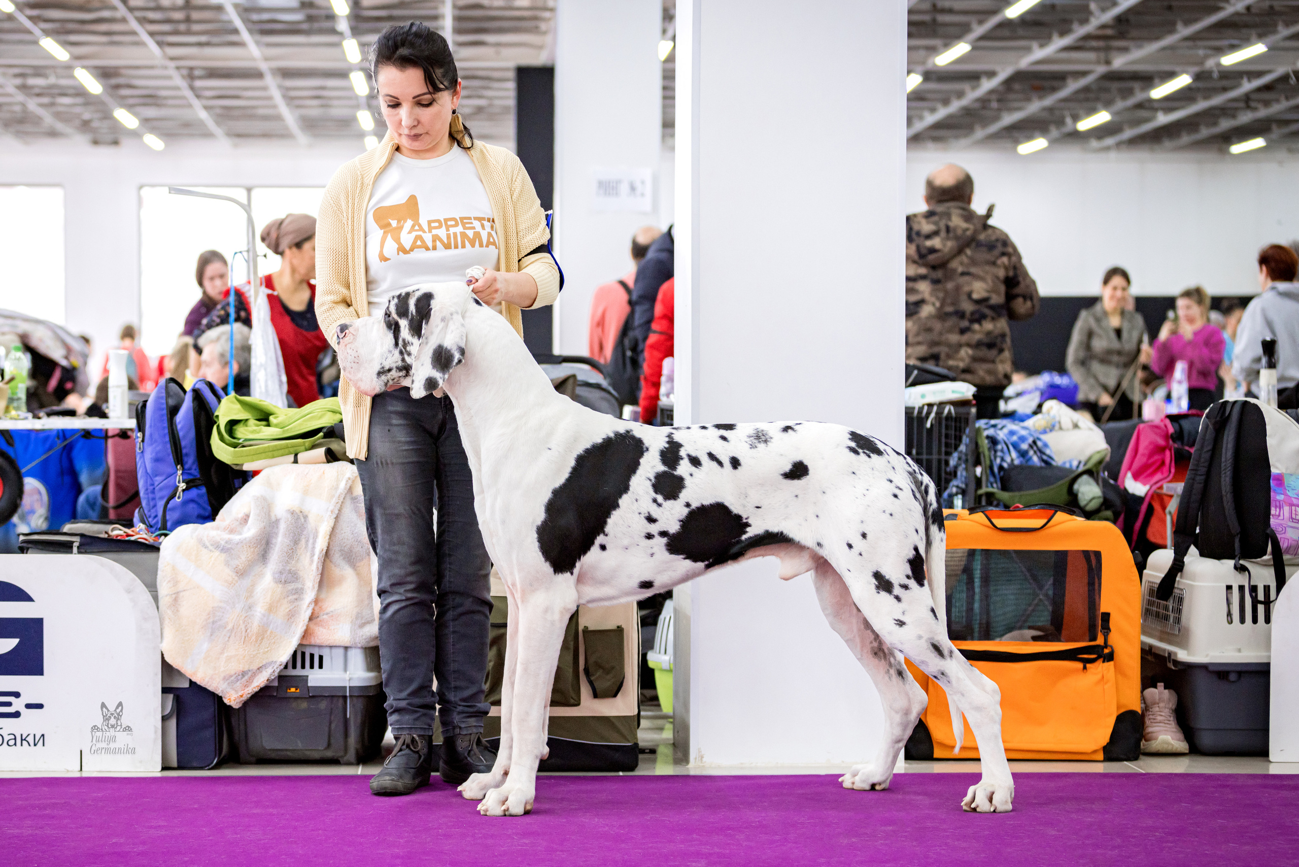 Можайский двор 11-12.02.2023. Фотограф-анималист Юлия Германика