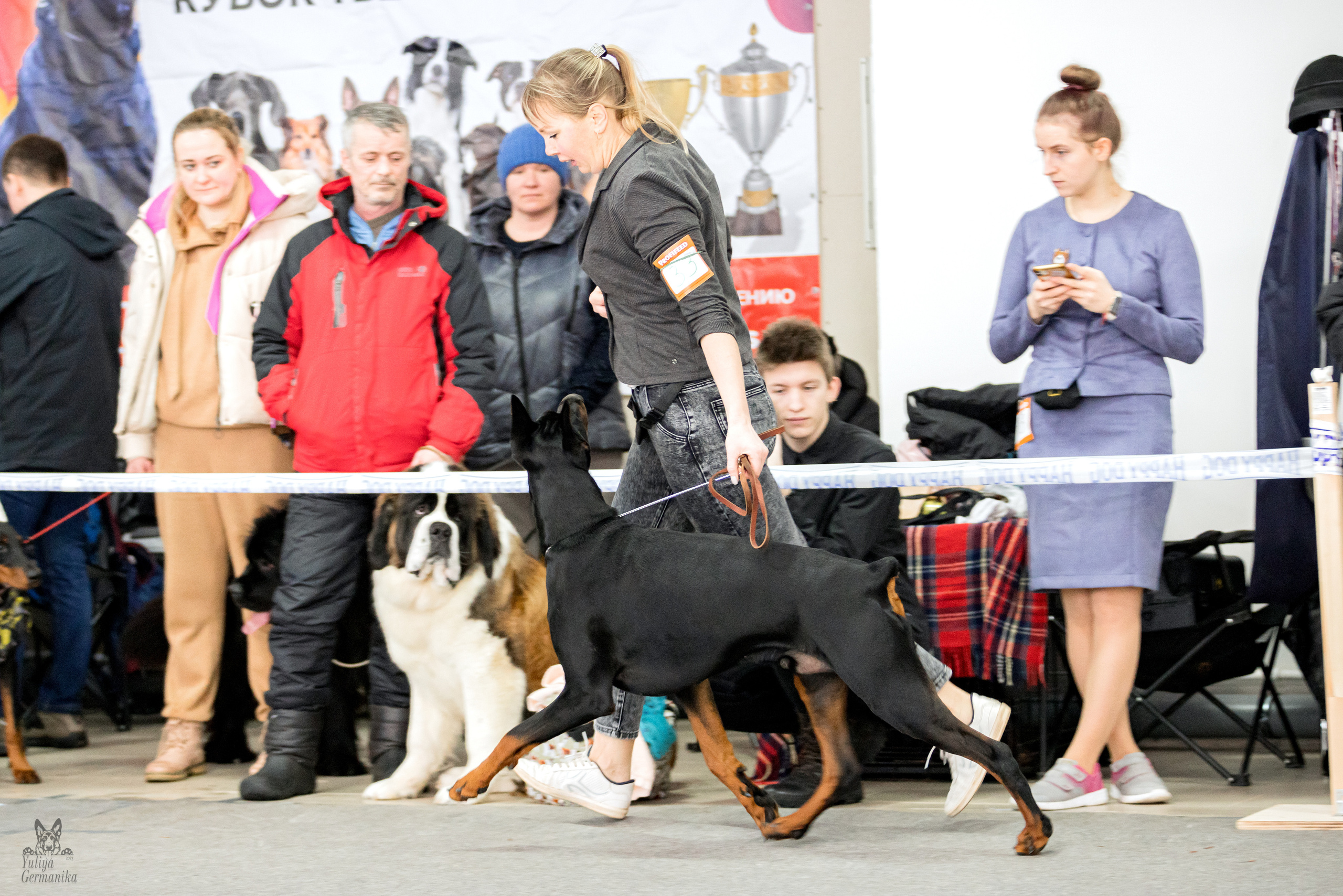 Тверь 19.02.2023. Фотограф-анималист Юлия Германика