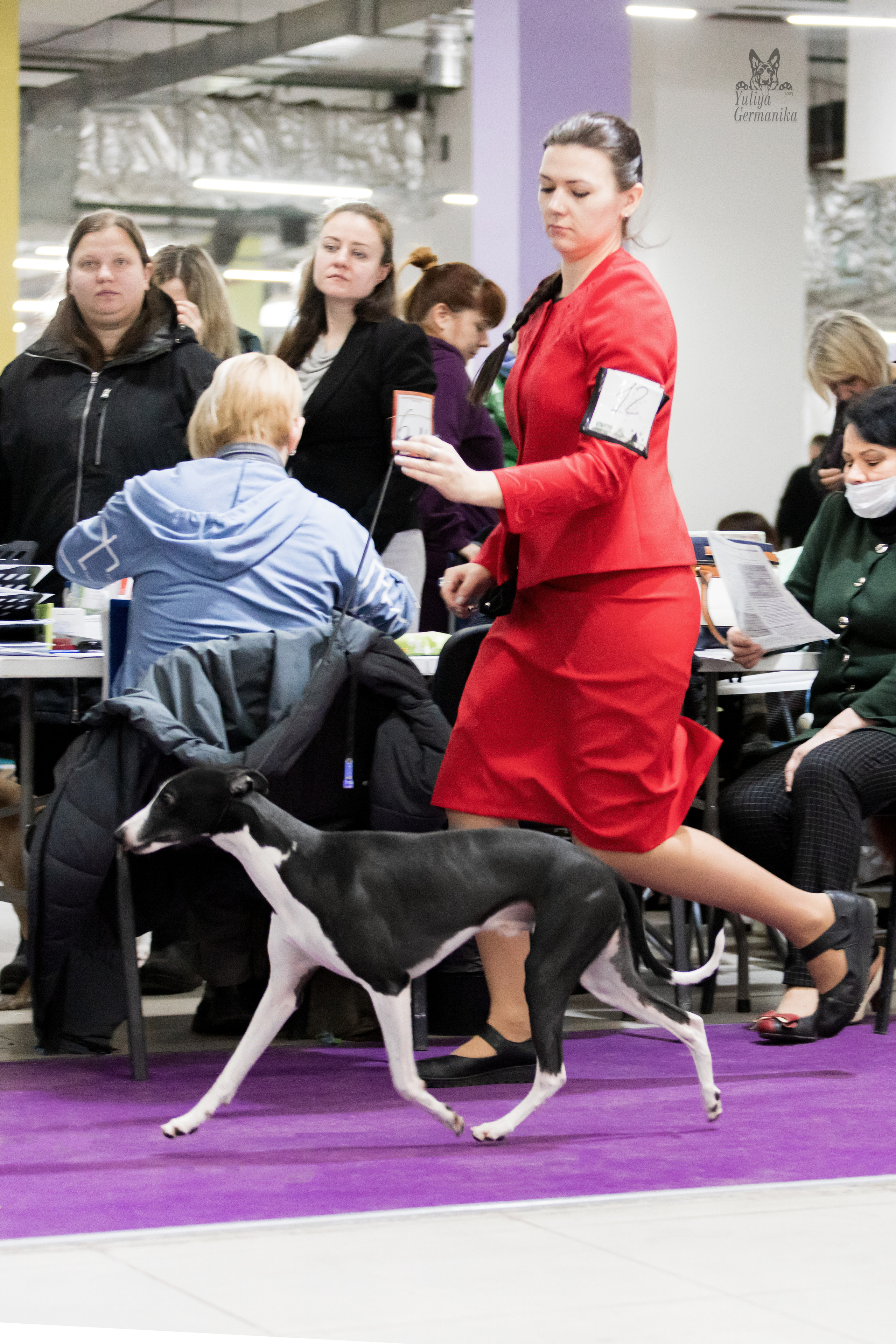 Чайна-Таун 5-8.01.2023. Фотограф-анималист Юлия Германика