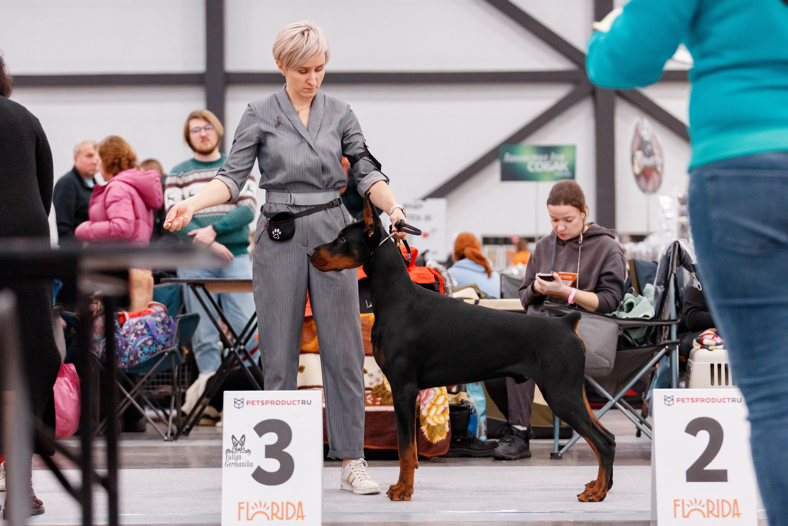 Питер 17-18.12.2022. Фотограф-анималист Юлия Германика